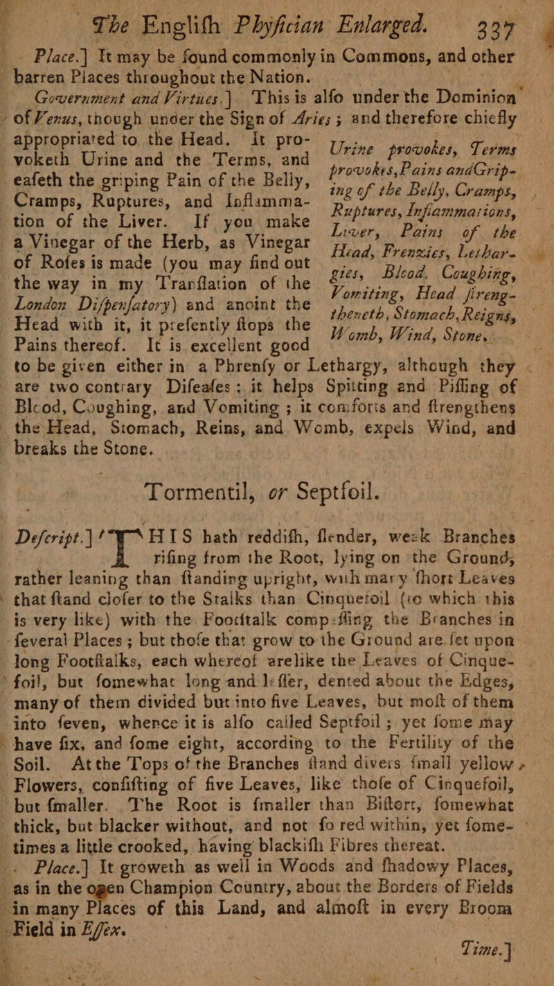 _. Place.) tt may be found commonly in Commons, and other _ barren Places throughout the Nation. i Government and Virtues.). Thisis alfo under the Dominion © - of Venus, though uncer the Sign of Aries ; and therefore chiefly appropriated to the Head. It pro- _voketh Urine and the Terms, and _ eafeth the griping Pain of the Belly, Cramps, Ruptures, and Inflamma- tion of the Liver. If you make a Vinegar of the Herb, as Vinegar or Rofes is made (you may find out the way in my Tranrflation of the a : London Difpenfatory) and anoint the attire ee nee i aes Head with it, it prefently flops the 7, a Wid S “EM Pains thereof. It is excellent good BOE nt RE MORE : pets to be given either in a Phrenfy or Lethargy, although they &lt; — are two contrary Difeafes; it helps Spitting and Pifling of Blcod, Coughing, and Vomiting ; it comforis and ftrengthens the Head, Stomach, Reins, and Womb, expels Wind, and breaks the Stone. ch ae Urine provokes, Terms provokes, Pains andGrip- ing of the Belly, Cramps, Ruptures, Infiammasions, Liver, Pains of the Head, Frenzies, Lethar- — gies, Bleod, Coughing, Tormentil, or Septfoil. Defeript.|! HIS hath reddifh, flender, weck Branches Ys rifing from the Root, lying on the Ground, rather leaning than ftanding upright, wuh mary fhort Leaves ' that ftand clofer to the Staiks than Cinquefoil (te which this is very hike) with the Foocttalk comp:flisg the Branches in -feveral Places; but thofe that grow to the Ground are fet upon long Footitalks, each whereof arelike the Leaves of Cinque- ‘foil, bute fomewhat long and Jrfler, dented about the Edges, many of them divided but into five Leaves, but molt of them ‘into feven, whence itis alfo cailed Septfoil ; yet fome may have fix, and fome eight, according to the Fertility of the Soil. Atthe Tops of the Branches itand divers imall yellow, — _ Flowers, confifting of five Leaves, like thofe of Cinquefoil, but {maller. The Root is fmailer than Biftort, fomewhat thick, but blacker without, ard not fo red within, yet fome- ~ times a little crooked, having blackifh Fibres thereat. Place.| It groweth as well in Woods and fhadowy Places, as in the ogen Champion Country, about the Borders of Fields in many Places of this Land, and almoft in every Broom Field in Efex. : . Time.) i ecion aee ey