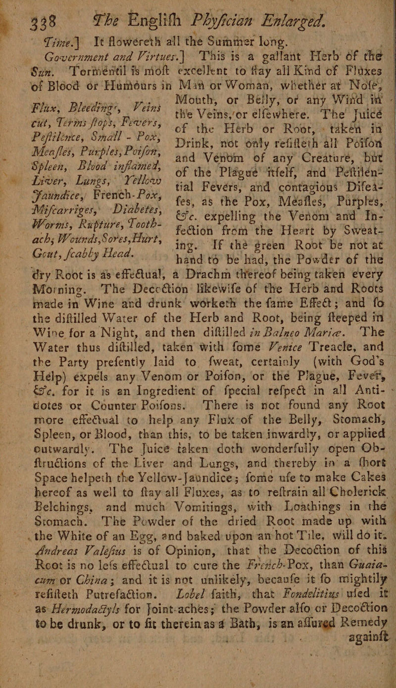 cut, Terns flops, Fevers, Peftilénce, Small - Pox, Meafles, Purples, Peifon, _ Spleen, Blhod inflamed, —* Liver, Langs, Yellow Faundice, French- Pox, Mifcarriges, Diabetes, Worms, Rupture, Tooth- ach; Wounds, Sores, Hurt, . Gout, feably Head. Mouth, or Belly, of any Wind iW | thie Ven ‘or elfewhere. The Juice cof the Herb or Root, « taken in Drink, not only refieth all Poifon and Venom of any Creature, but — of the Plague’ itfelf, and Peftilén? — tial Fevers, and contagious Difea- — fes, as the Pox, Méafles, Purples, ee. expelling the Venom and Tn- fection from the Heart by Sweat- hand t6 be had, the Powder of the refifteth Putrefagtion. Lobel faith, that Fondelitius' wled it Rear :