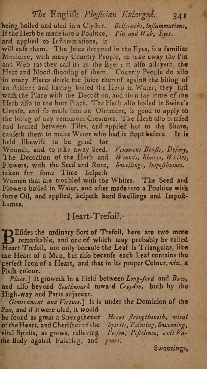 being boiled and ufed in a Clyitcr. Belly-achs, Inflammations, If tlie Herb be madeinto a Poultice, Pin and Web, Eyes. and applied to Inflammations, it will eafe them. The Juice dropped in the Eyes, isa familiar Medicine, with many Country People, to take away the Pin and Web (as they cail it) in the Eyes; it alfo allayeth the Heat and Blood-fhooting of them. Country People do alfo ‘in many Places drink the Juice thereof again® the biting of an Adder; and having boiled the Herb in Water, they firft ‘Herb alfo to the hurt Place. The Herb alfo boiled in Swine’s the biting of any venomous Creatures. The Herb alfo bruifed and heated between Tiles, and applied hot to the Share, held likewife to be gcod for Wounds, and to take away Seed. Venomous Beaffs, Dyfury, The Decogtion of the Herb and Wounds, Shares, Whites, Flowers, with the Seed and Root, Swellings, Impofihumes. taken for fome ‘Time helpeth \ Women that are troubled with the Whites. The Seed and Flowers boiled in Water, and after madeinto a Poultice with gems Oil, and applied, helpeth hard Swellings and edd umes. - Heart-Trefoil.: Efides the ordinary Sort of Trefoil, here are two more remarkable, and one of which may probably be called Heart-Trefoil, not only becaule the Leaf is Tiiangular, like the Heart of a Man, but alfo becaufe each Leaf contains the ‘perfect Icon of a Heart, and that in its proper Colour, wz. a Ficth-colour. - Place. It groweth in a Field betwoel Long-ford and Bow, High-way and Parts adjacent. Government and Virtues.) It is under the Dominion of the Sun, and if it were ufed, it would be found as greata Strengthener Heart ffrengtheneth, vital of the Heart, andCherithercfthe Spirzts, Fainting, Swooning, the Body ae Fainting, and pours. ‘ -_ re, , E