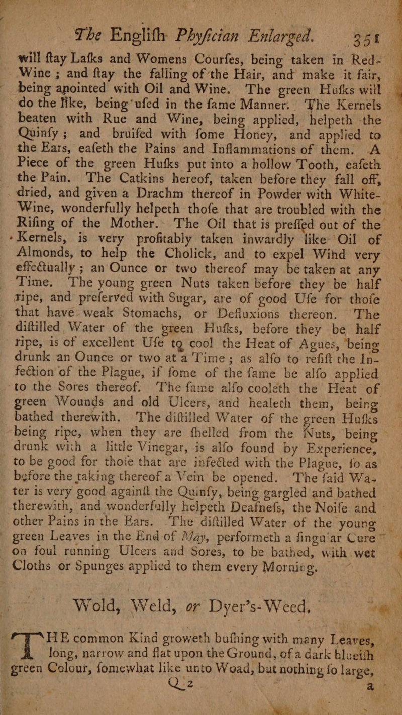 will ftay Lafks and Womens Courfes, being taken in Red-— Wine ; and ftay the falling of the Hair, and make it fair, being anointed with Oil and Wine. The green Hufks will - do the Nke, being’ufed in the fame Manner. he Kernels — beaten with Rue and Wine, being applied, helpeth the _ Quinfy; and bruifed with fome Honey, and applied to the Ears, eafeth the Pains and Inflammations of them. A Piece of the green Hufks put into a hollow Tooth, eafeth — the Pain. The Catkins hereof, taken before they fall off, _ dried, and given a Drachm thereof in Powder with White- Wine, wonderfully helpeth thofe that are troubled with the Rifing of the Mother.. The Oil that is preffed out of the Kernels, is very profitably taken inwardly like Oil of Almonds, to help the Cholick, and to expel Wihd very effeCtually ; an Ounce or two thereof may be taken at any Time. The young green Nats taken before they be half ripe, and preferved with Sugar, are of good Ufe for thofe that have. weak Stomachs; or Defluxiors thereon. The diftilled Water of the preen Hufks, before they be half Tipe, is of excellent Ufe tg cool the Heat of Agues, ‘being drunk an Ounce or two at a Time; as alfo to refift the In- fection of the Plague, if fome of the fame be alfo applied to the Sores thereof. The fame alfo cooleth the Heat of green Wounds and old Ulcers, and healeth them, being bathed therewith. The diftilled Water of the green Hufks being ripe, when they are fhelled from the Nuts, being drunk with a little Vinegar, is alfo found by Experience, _ to be good for thoie that are infe€ted with the Plague, fo as before the taking thereof.a Vein be opened. The faid Wa- ter is very good againit the Quinfy, being gargled and bathed therewith, and wonderfully helpeth Deafnefs, the Noife and - other Pains inthe Ears. The diftilled Water of the young _ green Leaves in the End of May, performeth a fingan'ar Cure~ — oa foul running Ulcers and Sores, to be bathed, with.wet | _ Cloths or Spunges applied to them every Mornirg. x Wold, Weld, or Dyer’s- Weed, | “be P3- HE common Kind groweth bufhing with many Leave, , BL long, narrow and flat upon the Ground, ofa dark blueth green Colour, fomewhat like unto Woad, but nothing fo large,