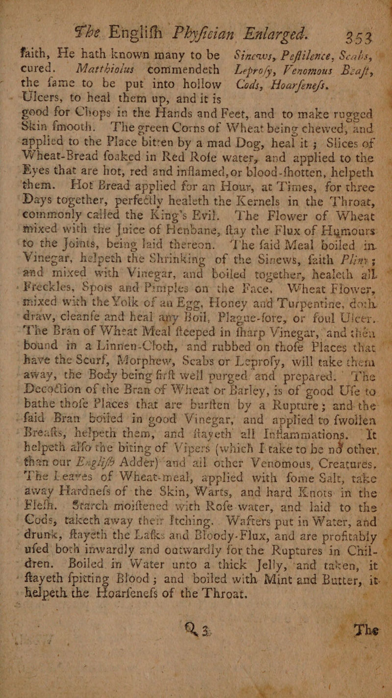 faith, He hath known many to be Sincavs, Peffilence, Scabs, ee cured. Marthiolus commendeth Leprofy, Venomous Beaft, the fame to be put into hollow Cods, Hoarfene/s. j - Ulcers, to heal them up, and it is 3 | RY i good for Chops in the Hands and Feet, and to make rugged Skin fmooth. The green Corns of Wheat being chewed, and applied to the Place bitren by a mad Dog, heal it; Slices of Wheat-Bread foaked in Red Rofe water, and applied tothe . Eyes that are hot, red and inflamed, or blood-thotten, helpeth — ‘them. Hot Bread applied for an Hour, at Times, for three — ‘Days together, perfectly healeth the Kernels in the Throat, — commonly called the King’s Evil. The Flower of Wheat — mixed with the Juice of Henbane, flay the Flux of Hymoars: ‘to the Jornts, being laid thereon. ‘I'he faid Meal boiled in — Vinegar, helpeth the Shrinking of the Sinews, faith Pliny; ~ end mixed with Vinegar, and boiled together, healeth all 4 » Freckles, Spots and Pimples on the Face. Wheat Flower, mixed with the Yolk of an Egg, Honey aad Turpentine, doth - draw, cleanfe and heal any Boil, Plague-fore, or foul Ulcer.. “The Bran of Wheat Meal ft¢eped in fharp Vinegar, “and thén bound im a Linrien-Cloth, and rubbed on thofe Places that have the Scarf, Morphew, Scabs or Leprofy, will take them | -away, the Body being firft well purged and prepared.’ The Decoction of the Bran of Wheat or Barléy, is of good Ufe to. bathe thofe Places that are burften by a Rupture; andthe: ” ‘faid Bran boiled in good Vinegar, and applied to fwollen — *Breafts, helpeth them, and ftayeth all Infammations. “It — helpeth alfo the biting of Vipers (which [take to be od other, | than our Lugj/ Adder)‘and all other Venomous, Creaturés, — ‘The Leaves of Wheat-meal, applied with fome Salt, take _ away Hardnefs of the Skin, Warts, and hard Knots: in the — Eleth. Starch miorftened with Rofe water, and laid to the’ | Cods, taketh away their Itching... Wafters put in Water, and “drank, flayeth the Lafks and Bloody-Flax, and are profitably . ~ufed both inwardly and oatwardly forthe Ruptares in Chil- d dren. Boiled in Water unto a thick Jelly, ‘and taken, it ‘ flayeth {pitting Blood ; and boiled with Mint and Butter, it helpeth the Hoarfencfs of the Throat. ‘egies Pie): Muy acs ie ee eS es - e