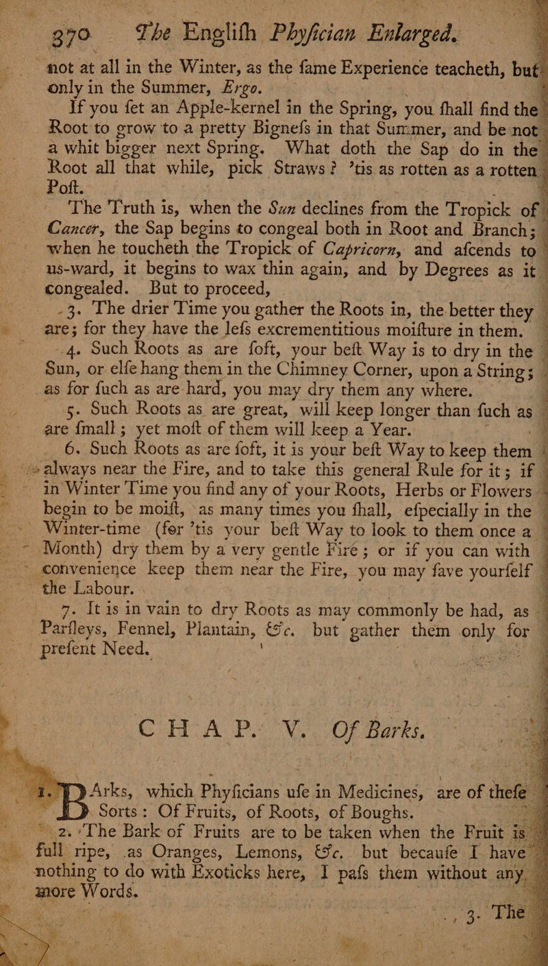 _ mot at all in the Winter, as the fame Experience teacheth, but: onlyin the Summer, Ergo. in i If you fet an Apple-kernel in the Spring, you fhall find the Root to grow to a pretty Bignefs in that Summer, and be now a whit bigger next Spring, What doth the Sap do in the Root all that while, pick Straws? ’tis as rotten as a rotten. Poft. eA q The Truth is, when the Suz declines from the Tropick of | Cancer, the Sap begins to congeal both in Root and Branch when he toucheth the Tropick of Capricorn, and afcends to us-ward, it begins to wax thin again, and by Degrees as it congealed. But to proceed, oa -3. The drier ‘Time you gather the Roots in, the better they — i are; for they have the lefs excrementitious moifture in them. — 5 4. Such Roots as are foft, your bet. Way is to dry in the — Sun, or elfe hang them in the Chimney Corner, upon a String; _ as for {uch as are hard, you may dry them any where. a 5. Such Roots as are great, will keep longer than fuch as — are {mall ; yet moft of them will keep a Year. i a 6. Such Roots as are foft, it is your beft Way to keep them ~ always near the Fire, and to take this general Rule for it; if ~ in Winter Time you find any of your Roots, Herbs or Flowers | ~ __ begin to be moift, as many times you fhall, efpecially in the — _ Winter-time (fer ’tis your beft Way to look to them once a © - * Month) dry them by a very gentle Fire; or if you can with | &gt; convenience keep them near the Fire, you may fave yourfelf | ~ the Labour. eo . 7. It is in vain to dry Roots as may commonly be had, as — Parfleys, Fennel, Plantain, ce. but gather them only. for prefent Need. ; * CHAP. V.. Of Barks. Wo Arks, which Phyficians ufe in Medicines, are of thefe ~ Sd Sorts: Of Fruits, of Roots, of Boughs. a z. The Bark of Fruits are to be taken when the Fruit is” _ full ripe, .as Oranges, Lemons, &amp;¥c. but becaufe I have nothing to do with Exoticks here, I pafs them without any more Words. | ay ae