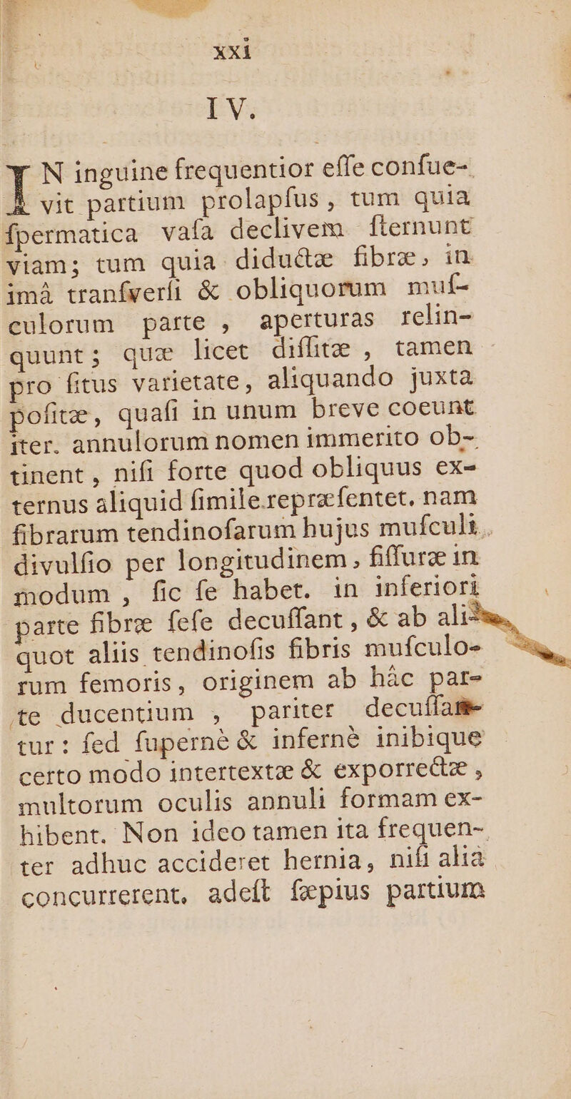 È I V. T N inguine frequentior effe confue- À vit partium prolaplus, tum quia fpermatica vafa declivem fternunt viam; tum quia didudtæ fibræ, in imA tranfverli &amp; obliquorum muf- culorum parte , aperturas relin- quunt; quæ licet diflitæ , tamen pro fitus varietate, aliquando juxta polfitæ, quafi in unum breve coeunt îter. annulorum nomen immerito ob- tinent, nifi forte quod obliquus ex- ternus aliquid fimilerepræfentet. nam fibrarum tendinofarum hujus mufculs.. divulfo per longitudinem, fifuræ in modum, fic fe habet. in inferiori parte fibræ fefe decuffant , &amp; ab ali&gt; quot aliis tendinofis fibris mufculo- rum femoris, originem ab häc par- te ducentium , pariter decuila- tur : fed fupernè &amp; infernè inibique certo modo intertextæ &amp; exporrettæ , multorum oculis annuli formam ex- hibent. Non ideo tamen ita frequen- ter adhuc accideret hernia, nifi alia concurrerent. adelt fæpius partium