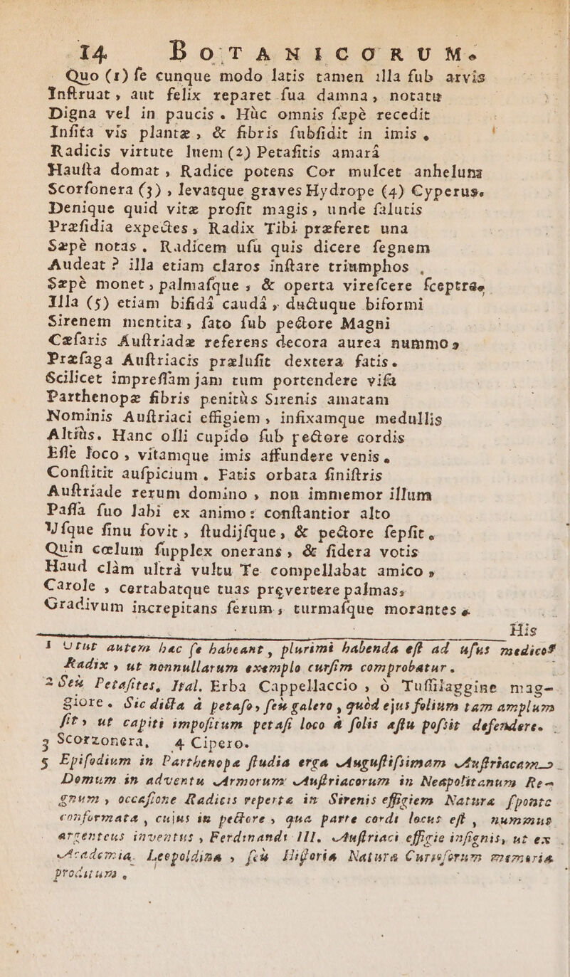 . Quo (1) fe cunque modo latis tamen :lla fub. arvis Ynfiruat, aut felix reparet fua damna, notatu Digna vel in paucis. Hüc omnis fepé recedit Infita vis plantz , &amp; fibris fubfidit in imis, : Radicis virtute luem (2) Petafitis amará Haufta domat , Radice potens Cor mulcet anhelumi Scorfonera (3) ; levatque graves Hydrope (4) Cyperus, Denique quid vitz profit magis, unde falutis Prafidia expedtes, Radix Tibi przferet una Sapé notas. Radicem ufu quis dicere fegnem Audeat ? illa etiam claros inftare triumphos , $zpé monet, palmafque , &amp; operta virefcere fceptrae llla (5) etiam bifidi caudá , du&amp;uque biformi Sirenem mentita, fato fub pe&amp;ore Magni Caíaris Auflriade referens decora aurea nummo» Praíaga Auftriacis prxlufit dextera fatis. Scilicet impreffam jam tum portendere vifa Parthenope fibris penitüs Sirenis amatam Nominis Auftriaci effigiem , infixamque medullis Aliis. Hanc olli cupido fub pe&amp;ore cordis Efle loco, vitamque imis affundere venis, Conílitit aufpicium . Fatis orbata finiftris Auftriade rezum domino , non immemor illum Paflà fuo labi ex animo: conftantior alto Víque finu fovit, ftudijfque, &amp; pe&amp;ore fepfit, Quin celum fupplex onerans; &amp; fidera votis Haud clàm ultrà vultu (Te. compellabat amico , Carole , certabatque tuas prevertere palmas; Gradivum increpitans ferum, turmaíque morantes e T His (3 UFuF autem b«c fe babeant, plurimi balenda eff ad ufus medicf Radix , ut nonnullarum exemplo curfim comprobatur , i 26e&amp; Petafites, Ital. Exba Cappellaccio ; ó Tuflilaggine nag- Siore. ic dilla à petafos few galero , quód ejus foliurs tazm amplua fit» ut capiti impofitum. petafi loco &amp; folis aftu pofiit defendere. - Scorzonera, 4 Cipero. s Epifodium in Parthenope fludia erra -Auguflifsimam Juffriacasmm » Demum in adventu Armorum eufiriacorum in Neapolitanum Re^ gnum , occafione Rtadieis reperte im. Sirenis effiriem. Natura fponte conforyzatá , cujus it pectore ; a5a parte cordi locus efl ,| nwnzus argenteus inventus , Ferdinandi 1I, Auftriaci effirie infignis, ut ex etcademia, Leepoldina » fh Higeris. Natura Curisfornm exemaria procu ura ,