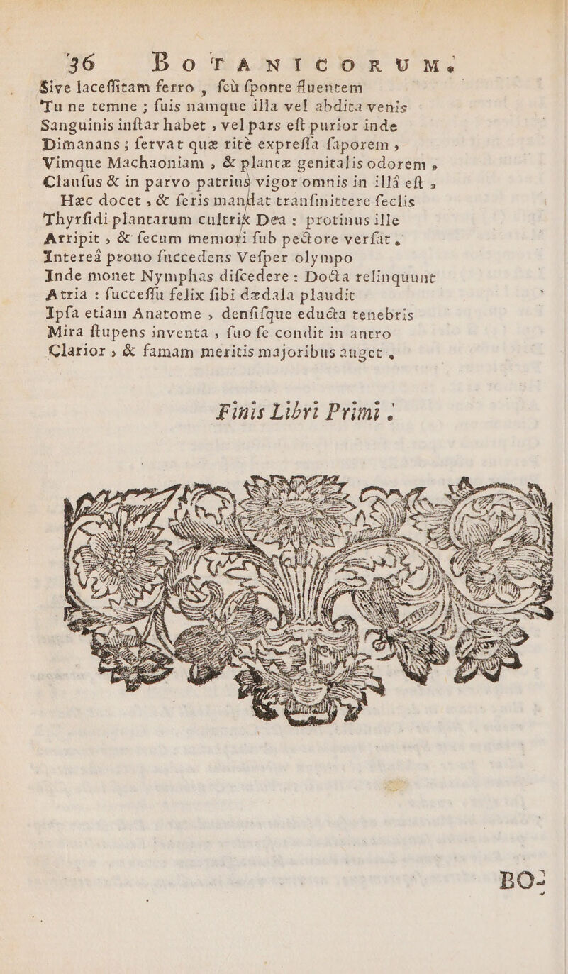 Sive laceffitam ferro , fei fponte luentem 'Tu ne temne ; fuis namque illa vel abdita venis Sanguinis inftar habet ;, vel pars eft purior inde Dimanans ; fervat quz rité exprefla faporem , Vimque Machaoniam ;, &amp; plante genitalis odorem , Claufus &amp; in parvo panier omnis in illá eft , Hzc docet , &amp; feris mandat tranfmittere feclis Thyrfidi plantarum cultrik Dea : protinus ille Arripit ; &amp; fecum memori fub pe&amp;ore verfat, Intereá prono fuccedens Vefper olympo Inde monet Nymphas difcedere : Do&amp;a relinquunt Atria : fucceffu felix fibi dzdala plaudit Ipfa etiam Anatome , denfifque educa tenebris Mira ftupens inventa ; fuo fe condit in antro Clarior ; &amp; famam meritis majoribus auget, BO: