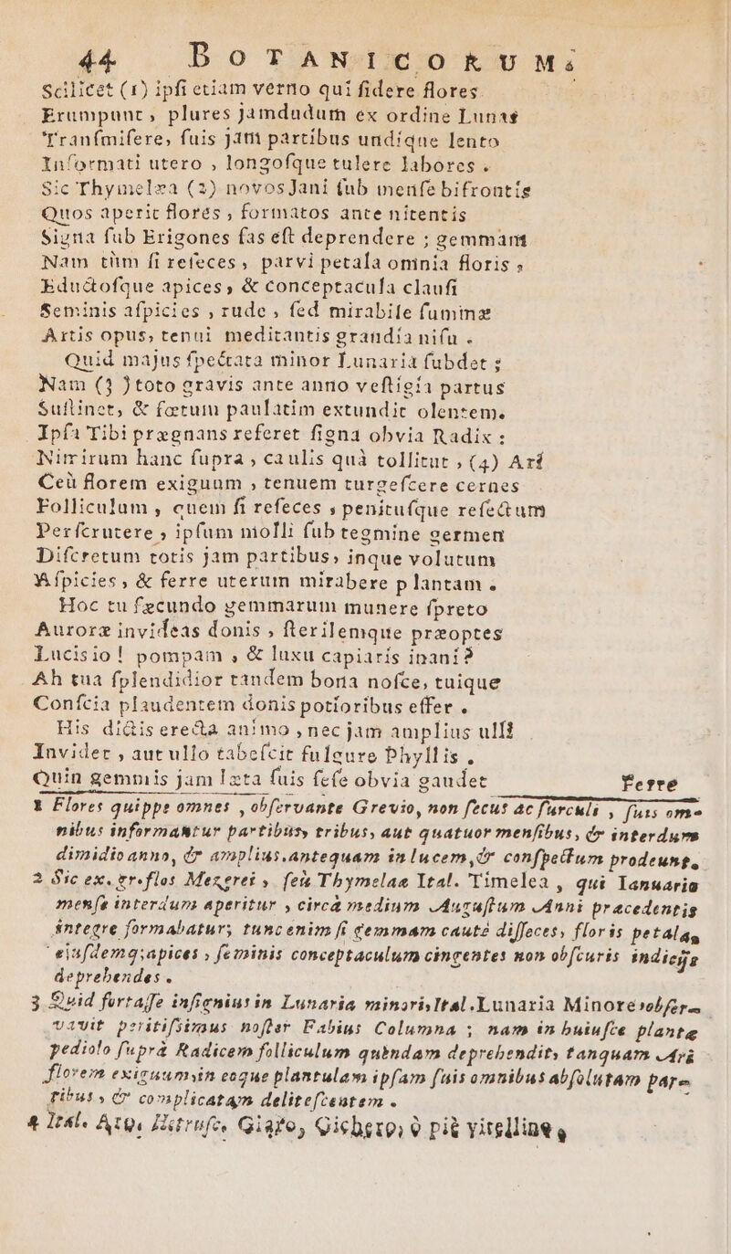 scilicet (1) ipfi etiam verno qui fidere flores. i Erumpunc , plures jamdudum ex ordine Lunas 'Tranfmifere, fuis Jat partibus undíqne lento Informati utero , longofque tulere labores . Sic Thymelza (2) novosJani (ub meufe bifrontís Quos aperit flores ; formatos ante nitentis Siura fub Erigones fas eft deprendere ; gemmam Nam tm fi zetleces , parvi petala oninia floris ? Edud&amp;ofque apices, &amp; conceptacula claufi Seminis afpicies ; rude , fed mirabile fumma Artis opus, tenui meditantis grandia ni(u . Quid majus fpe&amp;ata minor Lunaria fubdet ; Nam (3 )toto gravis ante anno veftigia partus Suttinet, &amp; fetum paulatim estundit olentem. Ipfa Tibi pregnans referet figna obvia Radix : Nimirum hanc fupra ; caulis quà tollitut , (4) Arí Ceü florem exiguum , tenuem turgefcere cernes Folliculum , cuem fi refeces ; penitufque refetum Per fcrutere ; ipfum molli fub tegmine germen Difcretum totis jam partibus, inque volutum Wfpicies, &amp; ferre uterum mirabere p lantam . Hoc tu fecundo gemmarum munere fpreto Aurorz invideas donis , fterilemque przoptes Lucisio! pompam , &amp; luxu capiarís inani? Ah tua fplendidior tandem bona nofce, tuique Conícia plaudentem donis potioribus effer . His di&amp;is erecta an!mo , nec jam amplius ull? Invider , aut ulfo tabeícit fuleure Phyllis, Quin gempiis jam I xta fuis fefe obvia gaudet ferre 1 Flores quippe omnes , obfzrvante G revio, non fecut 4c farculi , fuss ome nibus informastur partibtity tribus, aut quatuor menfibus, (x interdum dimidio anno, fr amplius.antequam inlucem,Ór confpettum prodeunt, 2 Sic ex. er. flos Mengrei y. (ets Thbymnelae Ytal. 'Timelea , qui Ianuaria mene interdum aperitur , circa medium cAuzuflum «Anni praecedentis integre formabatury tuncenim [i cemmam cauté diffecesy floris petalag eisfZem9;apices » feminis conceptaculum cingentes non ob[curis indicjg deprebendes . 3 vid fertajfe infigniurin Lunaria minarisItal.Lunaria Minore»obfar., vavit peritifsimaus nofjar Fabius Columna ; nam in buiufce plante pediolo fupra Radicem folliculum quindam deprebendity tanquam jr lovem exisuumyin eoque plantulam ipfam fais omnibus abfolutam par^ fibus, &amp; complicata delitefteutem . : 4 Isl. Atos Hitrnfe, Giao, Qichezo v pit vitglliae,