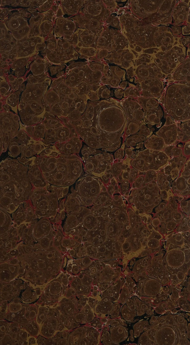 digitised image 3