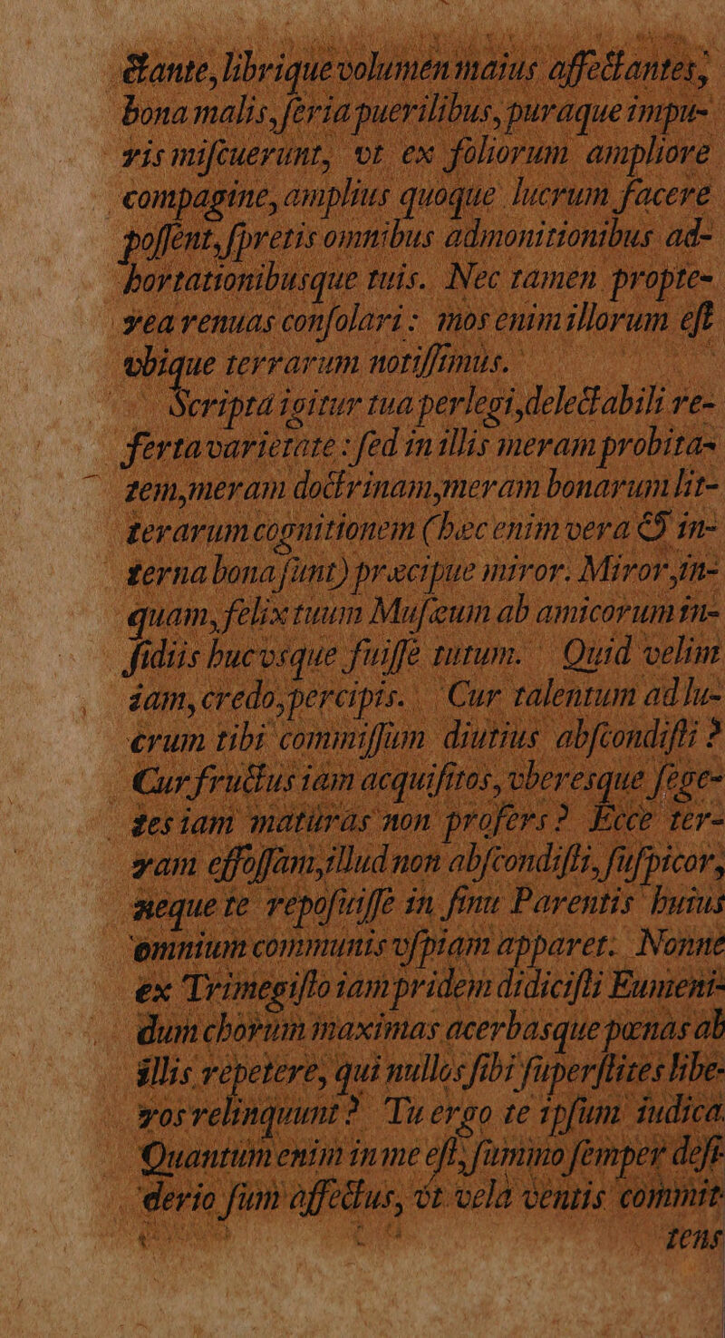 TN -&amp;ante, librique volumenmaius affefantes, bona malis, feria puerilibus, puraque impu-. yismifcuerunt, ot ex foliorum ampliore conpagine, amplius quoque uerum facere poffent, [preris omnibus adinonitionibus ad Portationibusque tuis. Nec tamen. propte- xsearenuas confolari: mosenimillorum eff po tervarum norms. — Seriptd ioitur tua.perlegi, deledtabili ve- fértavarietate : fed inillis meramprobita- — zemymeram dotrinam,meram bonarum lit- terarum cognitionem (bec enim vera € 1n- terna bona funt) precipue miror. Miror m- quam, felix tuum Mufeumn ab amicorum tn- fidis bucvsque fuiffe turum. — Quid velim iam, credo,percipis. .. Cur talentum adlu- erum tibi commiffum diutius abfcondifl; ? Cur fru&amp;us iam acquifitos, vberesque fene gdesiam matüras non profers? Ecce ter- vam effoffam,tllud non abfcondiffi, fufpicor, meque te. Tepofiiffe in. fmu Parentis buius nmi communis ofpiam apparet. Nonne ex Trünegiflo iam pridem didicifli Eumenr- . dumcborum inaximas acerbasque penas al Bllis repetere, qui nullos fibi fuperftites libe- wosrelinquunt ?. Tiergo te 1pfum. iudica Quantineniiinme fl fumino femper da derio fum offdfur, ét vela ventis commit eoo ida 127 | | |