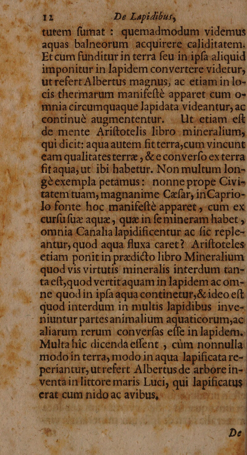 tutem fümat : quemadmodum videmus aquas balneorum acquirere caliditatem. Etcum funditur in terra feu in ipfa aliquid imponitur in lapidem convertere videtur; utrefert Albertus magnus, ac etiam in lo- cis thermarum manifeflé apparet.cum o« mnia circumquaque lapidata videantur; ac . continué augmententur. . llt«etiam eft de mente Ariítotelis libro mineralium; qui dicit: aquaautem fitterracum vincunt eam qualitatesterre ; &amp;e converfo exterra fitaqua;ut' ibi habetur. Non multum lon- geexempla petàmus: nonne prope Civis tatem tuam, magnanime Czfàr, inCaprio- lo fonte hoc. manifefté apparet -cum ex curfufuz aquz , qua in fe mineram habet omnia Canalia lapidificentur ac fic reple- antur, quod aqua fluxa caret? Ariftoteles etiam ponitin predicto libro Mineralium quod vis virtutis mineralis interdum tan- tacft;quod vertitaquam in lapidem ac om- ne quodin ipfaaqua continetur;&amp; ideo eft. quod interdum in multis Japidibus inve-. niuntur partesanimalium aquaticorum;ac aliarum rerum converfas eífe in lapidem. Multahic dicendaeffent., càüm nonnulla; modoin terra; modo in aqua lapificata re- | periantur,utrefert Albertusde arbore in- | . ventain littore maris Luci, qui lapificatus: eratcumnidoacavibus s 70s Me 4 De. We d $3