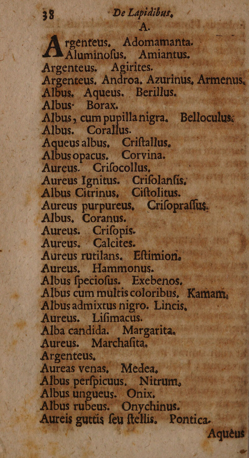 rgenteus, po Aluminofus Amiantus. Argenteus. AREE Argenteus, Androa, Azurinus, Armer Albus Aqueus. . Berillus. €— m Albus: Borax. Ts Albus; cum pu illanigra. Belloculus: | Albus. Corallus. — ie Make Aqueusalbus, Criftallus, Albusopacus. Corvina. | Aureus. Crifocollus, . Aureus Ignitus. . Crifolanfís; Albus Citrinus, Ciftolitus. Aureus purpureus, eniopalue: - Albus, Coranus. Aureus. Crifopis- Aureus. - Calcites. - à Aureus rutilans. Efimion ' Aureus, Hammonus. - Albus fpeciofus. Exebenos. ^. Albus cum multis coloribus, Ritt | Albusadmixtus nigro. Lincis, 1 Aureus. Lifimacus ^ ^ ^ Alba candida. Margarita. Aureus. Marchafita, | Argenteus, - Lu Aureas venas, Medea, ! (MR Mee perfpicous, Nitrum, ^^^ Dusnddüehe Ünbu ^ cone ma Albus rubeus. Onychinus. icd Aureis guttis feu ftellis. Pontica. ^. ied jag2Xc Sici T. b  ,