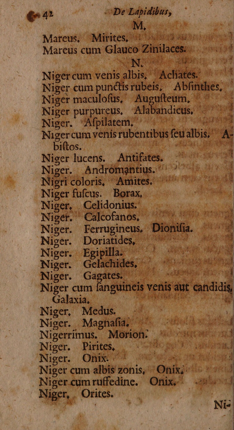 | (^4 . epe —— : Mareus, MMébites ie Vidi d Ao oe Mareus cum Glauco Zinilace - M Nigercum venis. pel i Acid Niger cum punctis rubeis,. Abfindies Niger maculofüs, Augufteum, ^. is Niger purpureus, Alal andictis, » E Niger. MIprhitent emus den Nugercum venis rubentibus feu albis Á- biftos. ; Miu p. Niger lucens. Antistes. iut i/i addi Niger. Andrómantius. i Ug Nigei coloris, ^Aekires 0 o Nigerfufcus. Borax. Niger, Celidonius. | md Nigak, Calcofanós, 10044 099 m p Niger. duin, Jionifie P angl Niger. Doriatides, TENW S ND  Niger. Egipill. ^ : geo mo Niger. | PETRUM ORC s Mun Niger. Gaps. o ü Niger cum inguinejs: ventis aut endi i$ Galaxia. Lai HORE E | ug Niger, Medus. uU (ET ud Niger. Magnafia, SEM oW STA 4 Nigerrímus. MIB. Pieve u odi Niger. Pirite$ | -—  p X saisit] Niger. Onix- QUE out nu isg à Niger cum albis zonis, 'Onikj- ic sid Nigercumruffedine. Onix. Msi MP Orites. E : : |