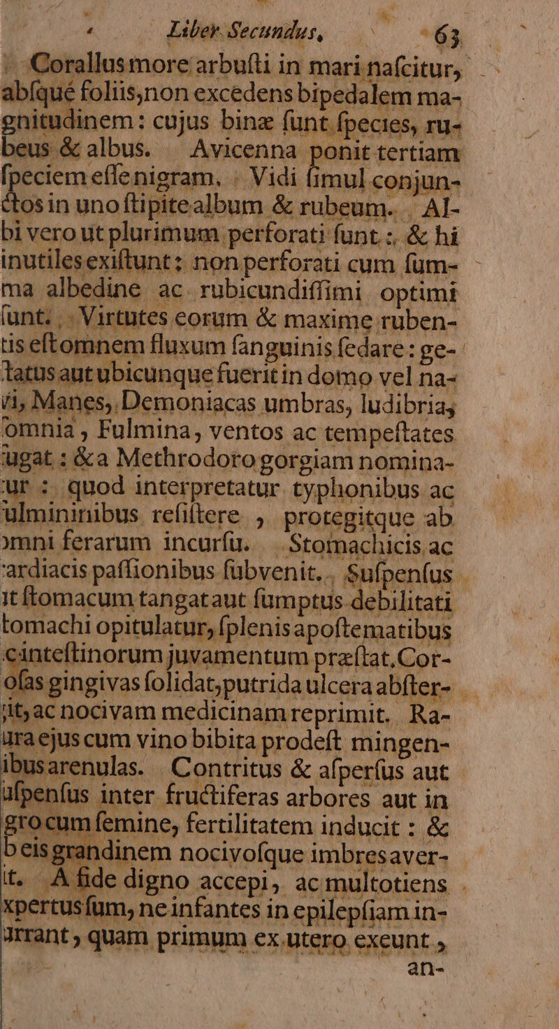 - :Corallusmore arbufti in marinafcitur, abíqué foliis,non excedens bipedalem ma- gnitudinem: cujus binz (unt fpecies, ru- beus &amp; albus. ^ Avicenna ponit tertiam fpeciem effe nigram. . Vidi (imul conjun- ds in unoftipitealbum &amp; rubeum. | AI- bi vero ut plurimum perforati funt. :. &amp; hi inutilesexiftunt: non perforati cum fum- ma albedine ac. rubicundiffimi optimi (unt. .. Virtutes eorum &amp; maxime ruben- tis eftomnem fluxum fanguinis fedare: ge- tatus aut ubicunque fuerit in domo vel na- /à, Manes, Demoniacas umbras, ludibriay omnia , Fulmina, ventos ac tempeftates ugat : &amp;a Methrodorogorgiam nomina- ur : quod interpretatur typhonibus ac ulmininibus refiftere. , protegitque ab omni ferarum incurfuü. —.Stomachicis ac ardiacis paffionibus fubvenit... Sufpen(us it Ítomacum tangataut famptus debilitati tomachi opitulatur, (plenisapoftematibus canteftinorum juramentum praftat,Cor- E ors iut ulceraabíter- iitjac nocivam medicinam reprimit. Ra- uraejus cum vino bibita prodeft mingen- ibusarenulas. Contritus &amp; afperíus aut ufpenfus inter fructiferas arbores aut in grocum femine, fertilitatem inducit : &amp; beisgrandinem nocivofque imbresaver- t. A fide digno accepi, acmultotiens . xpertus fum, neinfantes in epilepíiam in- dant; quam primum ex.utero exeunt , j- an-