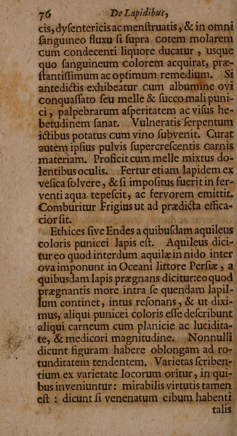 / 46 De Lapidibus, cis, dyfentericisac menftruatis; &amp; in omni fanguineo fluxu fi fupra. cotem molarem cum condecenti liquore ducatur ; usque quo fanguineum colorem acquirat; p: ftantiffimum ac optimum reme itedictis exhibeatur cum albun onquaffato feu melle &amp; fucco mali puni- i, palpebrarum afperitatem ac vifüs he- ;etudinem fanat. . Vulneratis ferpentum us potatus cum vino fubvenit. Curat autem ipfius pulvis fupercrefcentis carnis materiam. Proficitcum melle mixtus do- lentibus oculis. .. Fertur etiam lapidem ex vefica folvere , &amp; fi impofitus fueritin fer- ventiaqua tepefcit, ac fervorem emittit. Comburitur Frigiusut ad predicta effica-. ciorfit. APA id 8l aic n uso a. cm j TP - Ethices five Endesa quibu(dam aquileus coloris punicei lapis eft. |. Aquileus dici-. turco quod interdum aquilein nido inter ovaimponunt in Oceani littore Perfie ; a. pragnantis more intra fe quendam lapil- ium continet; intus refonans. «&amp; ut.dixi- liqui carneum cum. planicie ac lucidita-. b. dicunt figuram habere oblongam ad ro- tunditatem tendentem, Varietas (criben-. tium ex varietate locorum oritur in.qui- | businveniuntur: mirabilis virtutis tame 1 ? eft : dicunt fi venenatum cibum habenti. talis