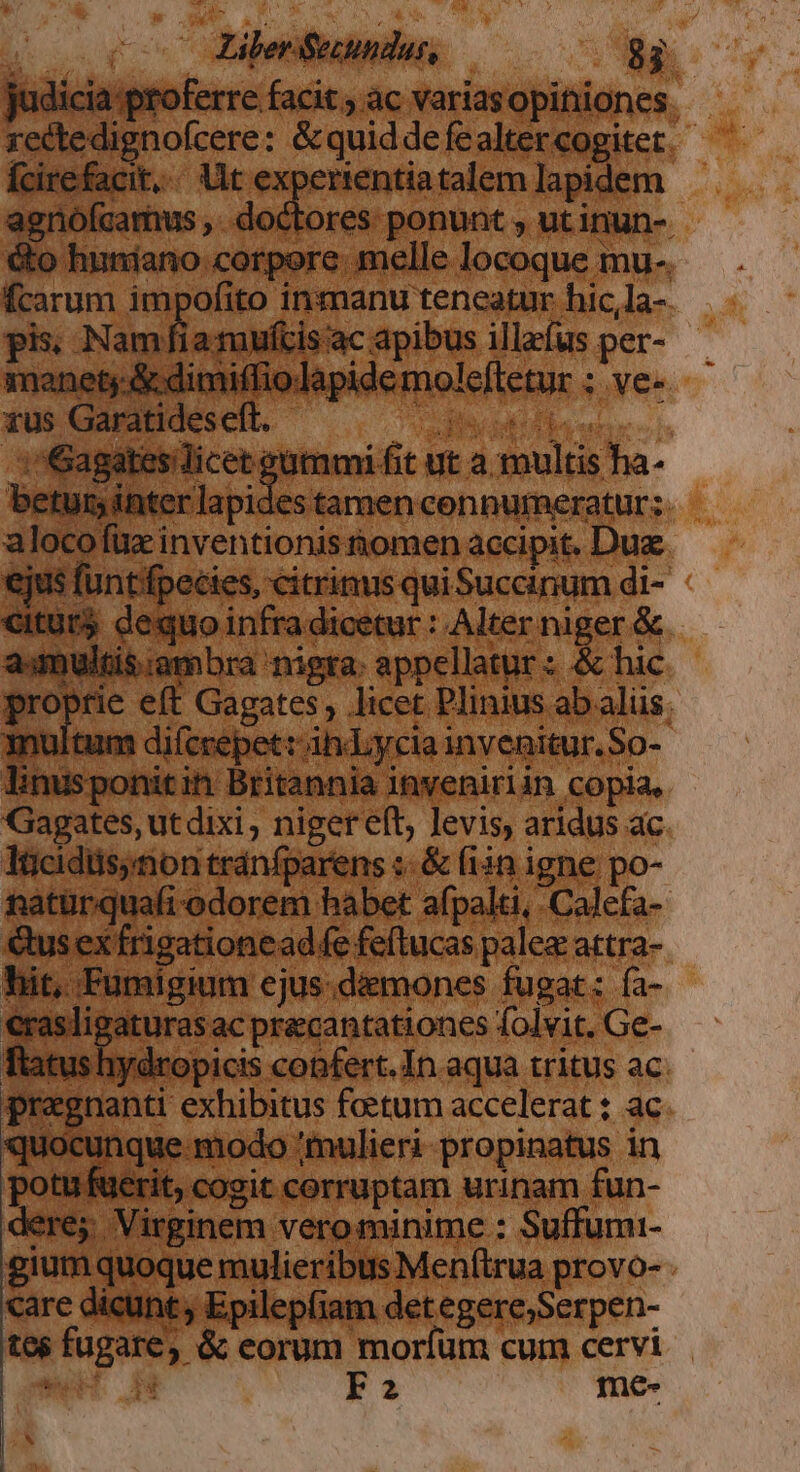 judicia proferre facit ; ac variasopiniones. xectedignoícere: &amp;quiddefealtercogitet. - Ícirefacit,. Ut experientiatalem Ia dem - doctores ponunt , ut inun-- e. melle locoque mu-. pis; Namfia mui iD GBABPOdL . LIN Ies Gaga mgptimikt ut a multis ha- betur; inter lapides tamen cenpurmeratur: alocofüx inventionis nomen accipit. Due. citüt dequo infra dicetur : Alter niger &amp;. aumultisambra nigra: appellatur : &amp; hic proprie eft Gagates , licet Plinius ab alüs. multum di(crepett ih Lycia invenitur. So- Tinusponitin Britannia inveniriin copia, Gagates, utdixi, niger eft; levis, aridus ac. lücidiisnon tránfparens :-&amp; (iin igne po- natürquafi-odorem habet afpalti,.Calefa-- €usex frigationead fe feftucas palea attra- hit, Fumigium ejus.dimones fugat: ía- zaturas ac precantationes folvit. Ge- i hydropicis copfert. In aqua tritus ac. nanti exhibitus foetum accelerat ; ac inque modo /mulieri propinatus in uerit; cogit corruptam urinam fun- ; Virginem vero minime : Suffumi- juoque mulieribus Men(trua provo- it Epilepfiam detegere;Serpen- tos fugare, &amp; eorum moríum cum cervi mer T4 F2 me- s