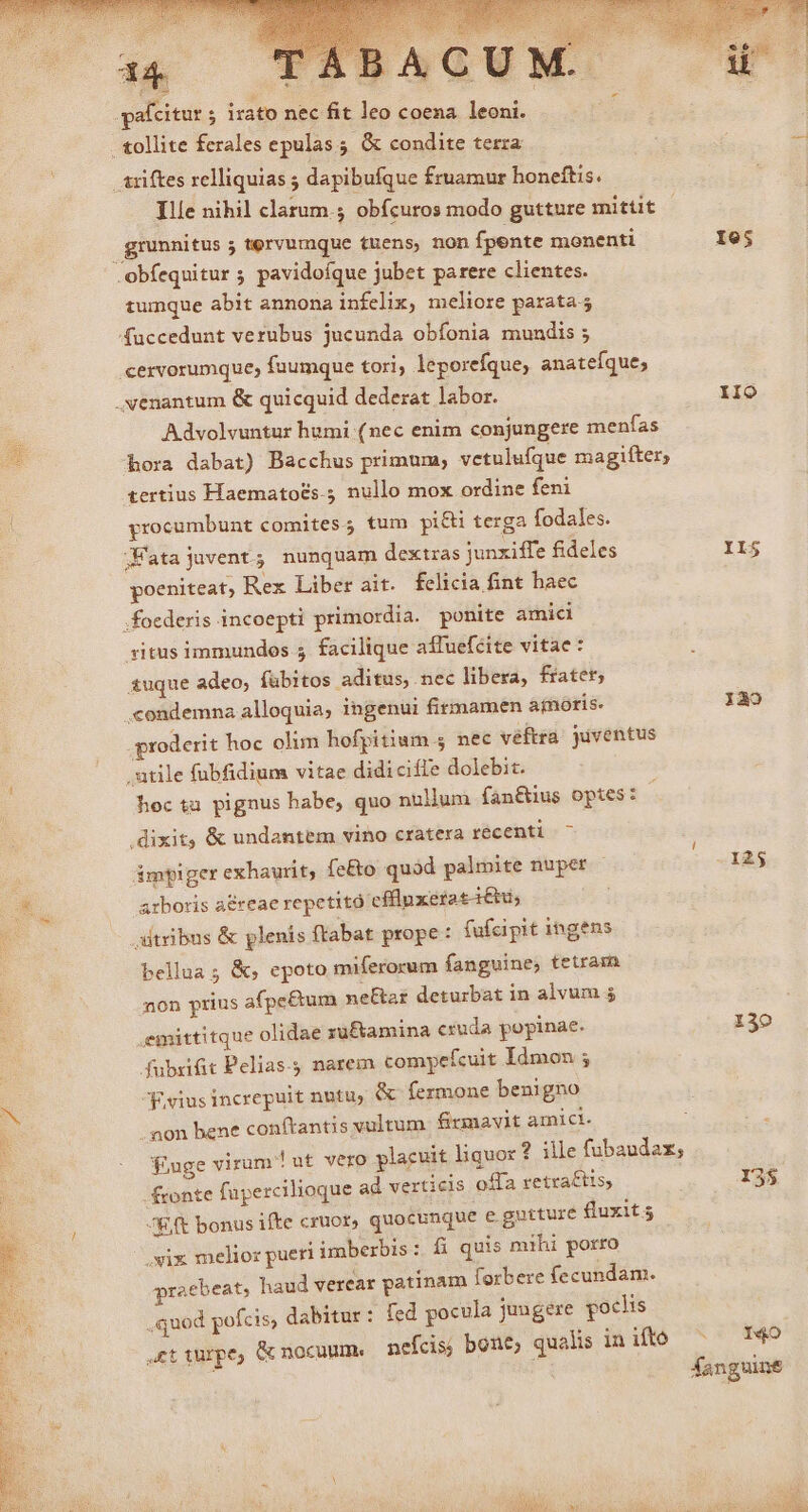 .pafcitur ; irato nec fit leo coena leoni. solite ferales epulas; &amp; condite terza .triftes relliquias ; dapibufque fruamur honeftis. Ille nihil clarum. obícuros modo gutture mittit grunnitus 5 tervumque tuens, non fpente monenti Ie5 .obfequitur ; pavidoíque jubet parere clientes. tumque abit annona infelix, meliore paratas 4uccedunt verubus jucunda obfonia mundis 5 cexvorumque; fuumque tori; leporefque, anateíque; .venantum &amp; quicquid dederat labor. IIO * Advolvuntur humi (nec enim conjungere menfas hora dabat) Bacchus primuna; vetulufque magifter, tertius Haemato&amp;s.5 nullo mox ordine feni procumbunt comites; tum pi&amp;i terga fodales. ;Fatajuvent; nunquam dextras junxiffe fideles II$ poeniteat, Rex Liber ait. felicia fint haec . foederis incoepti primordia. ponite amici ritus immundos 5 facilique affuefcite vitae : &amp;uque adeo, fübitos aditus, nec libera, fatet; «ondemna alloquia; ingenui firmamen ajnoris. 1230 proderit hoc olim hofpitium 5 nec veftra. juventus utile fubfidium vitae didicifte dolebit. hec tu. pignus habe, quo nullum fan&amp;tius optes: dixit, &amp; undantem vino cratera récenti dmplger exhaurit, fe£to quad palmite nuper - - 125 arboris a&amp;reae repetitó cffluxeratáttu, utribns &amp; plenis ftabat prope : fufaipit ingens bellua ; &amp;, epoto miferorum fanguine, tetram non prius afpe&amp;tum ne&amp;ar deturbat in alvum $ emittitque olidae zuftamina cruda popinae. 130 dfubxifit Pelias. narem comyefcuit Idmon ; F,vius increpuit nutu; &amp; fermone benigno . non bene conftantis vultum. firmavit amict- Fuge virum! ut vero placuit liquor? ille fubaudaz; | fonte füpercilioque ad verticis offa retra£tis, I3$ JEft bonus ifte cruor, quocunque e gutture fluxit; .xix melior pueri imberbis : fi quis mihi porro raebeat, haud verear patinam forbere fecundam. ,quod pofcis; dabitur: fed pocula jungere poclis £t turpe, &amp; nocuume nefcis; bone; qualis inifte ^ -yd : fanguine