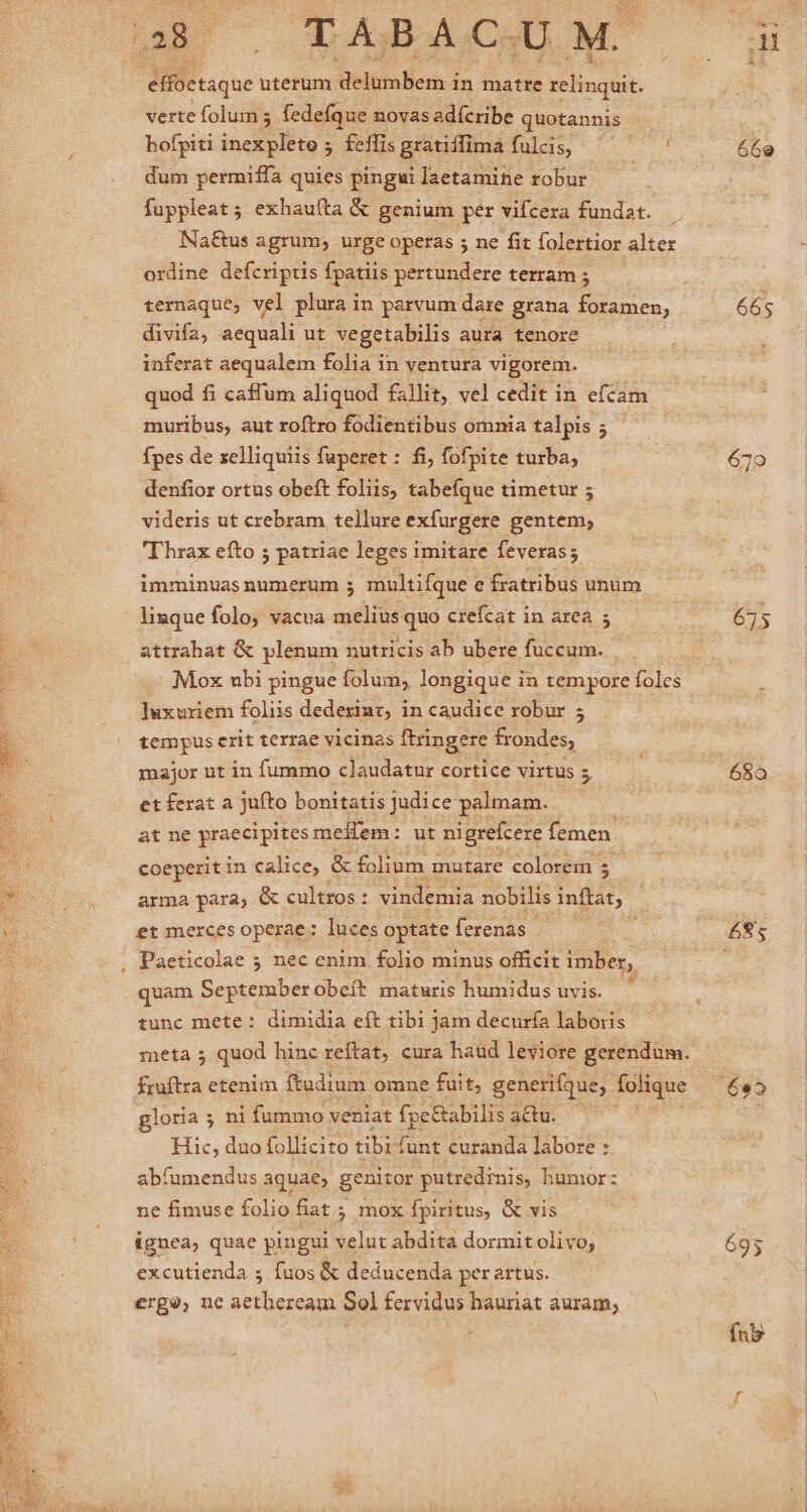 a ^— Y ABA CU M. eff etaque uterum delumbem in matre MngEt verte folum 5 fedefque novas adícribe quotannis hofpiti inexpleto 5 feffis gratiffima fulis, dum permiffa quies pingui laetamine robur fuppleat; exhauíta &amp; genium per vifcera fundat. . Na£&amp;us agrum, urge operas ; ne fit folertior alter ordine defcriptis fpatiis pertundere terram ; ternaque, vel plura in parvum dare grana foramen; divifa, aequali ut vegetabilis aura tenore inferat aequalem folia in ventura vigorem. quod fi caffum aliquod fallit, vel cedit in efcam muribus, aut roftro fodientibus omnia talpis ; fpes de xelliquiis fuperet : fi, fofpite turba, denfior ortus obeft foliis, tabefque timetur ; videris ut crebram tellure exfurgere gentem; Thrax efto ; patriae leges imitare feveras; imminuas numerum 5 multifque e fratribus unum lixque folo; vacua Ber quo crefcat in area 5 attrahat &amp; plenum nutricis ab ubere fuccum. Mox ubi pingue folum, longique in tempore foles ]uxuriem foliis dederiat, in caudice robur 5 tempus erit terrae vicinas ftringere frondes, major nt in fummo claudatur cortice virtus 5 et ferat a jufto bonitatis Judice palmam. at ne praecipites meffem: ut ni igrefcere femen. coeperit in calice, G&amp; folium mutare colorem ; - arma para, &amp; culttos : vindemia nobilis inflat, et merces operae: luces optate Iona. Paeticolae 5 nec enim folio minus officit imber, quam Septemberobeít maturis humidus uvis. , tunc mete: dimidia eft tibi Jam decuría laboris gloria 5 ni fummo veniat fpe&amp;abilis actu. Hic, duo follicito tibi funt curanda labore : abífumendus aquae, genitor putredimis, humor: ne fimuse folio fiat ; mox fpiritus, &amp; vis ignea, quae pingui velut abdita dormit olivo; excutienda 5 fuos &amp; deducenda per artus. ergo, ne aetberzeam Sol fervidus hauriat auram; d 665 65o