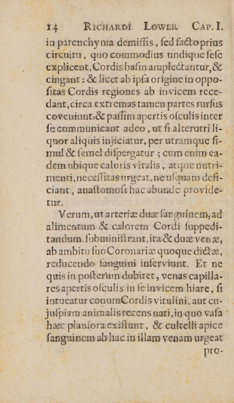 ia parenchy ma demiffis , fed fa&amp;toprius circuitu, quo commodius undique fefe | €xplicent, Cordisbafin amplectantur,&amp; cingant : &amp; licet ab ipfa origine in oppo- fitas Cordis regiones ab invicem rcce- dant,circa extremas tamen partcs rurfus coveniunt;&amp; paffim apertis oículisinter áem ubique caleris vitalis, atque nutri- menti, neceffitasnrgeat,neufquam defi- ciant, anaftornoft hac abunde provide- tur. am Verum,ut arteriz duz fapguincm,ad alimentum &amp; calorem Cordi fuppedi- tandum. fübminifirant,ita G dua venz, ab ambitu fno Coronariz: quoque dictae, rcducendo Íanguini inferviunt. Et ne quis in pofterum dubitet , venas capilla- resapertis ofculis in fe invicem hiare , fi intücatur conumCordis vitulini, aut cu- hzc plaaioraexiftunt, &amp; cultelli apice pro- h