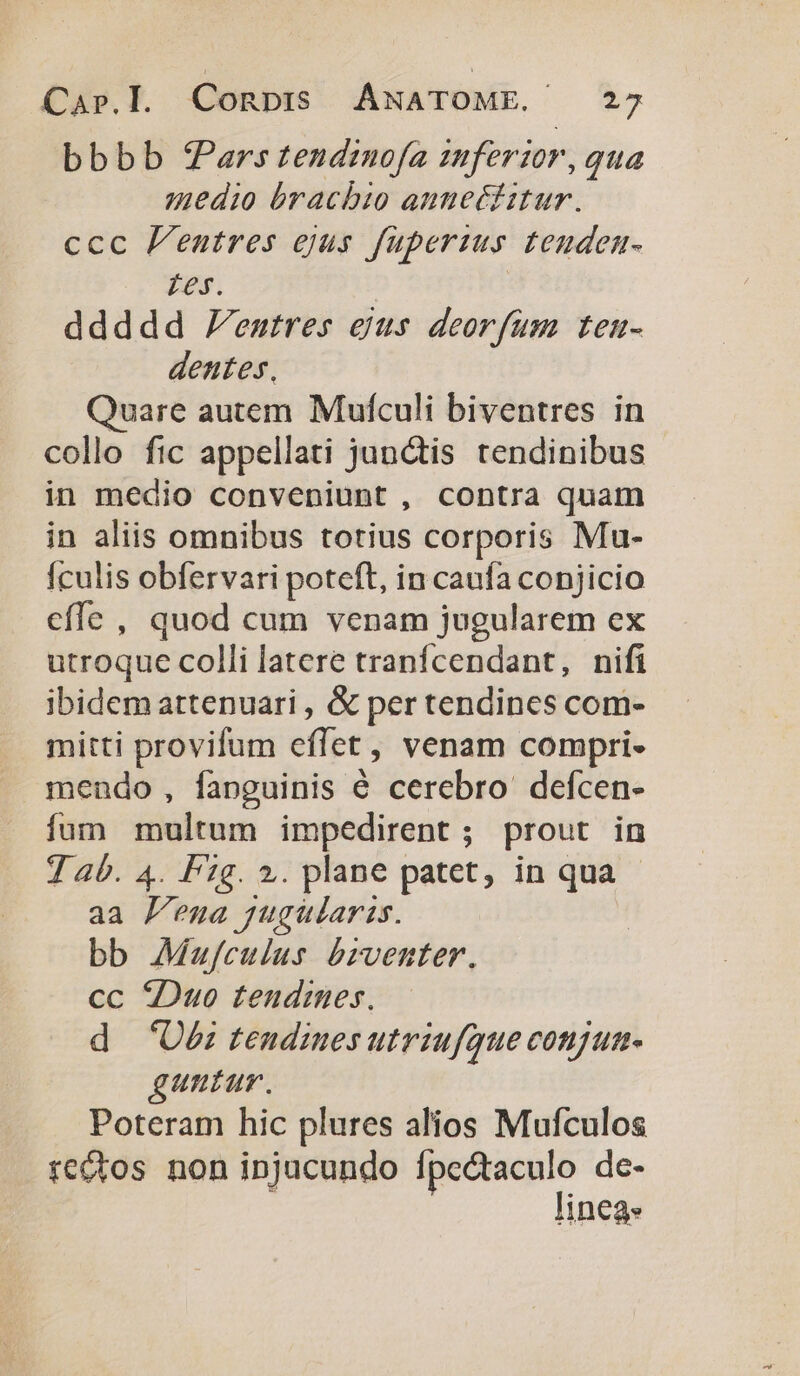 bbbb fPars tendznofa znferzor, qua medio brachio anneéditur. ccc Pentres ejus fupersus teudem- Ies. ddddd entres eus deorfum ten- dentes, Quare autem Mufculi biventres in collo fic appellati junctis tendinibus in medio conveniunt , contra quam in aliis omnibus totius corporis Mu- Ículis obfervari poteft, in caufa conjicio cffe , quod cum venam jugularem ex utroque colli latere tranfcendant, nifi ibidem attenuari , &amp; per tendines com- mitti provifum effet, venam compri- mendo , fanguinis é cerebro defcen- íum multum impedirent; prout in 7 ab. 4. Pg. 2. plane patet, in qua - aa ena jugülaris. bb Mufeulus brventer. cc 5Duo tendimes. d 'U£i tendiues utriufque conjua- guniar. Poteram hic plures alios Mufculos rectos non injucundo fpcctaculo de- | linea