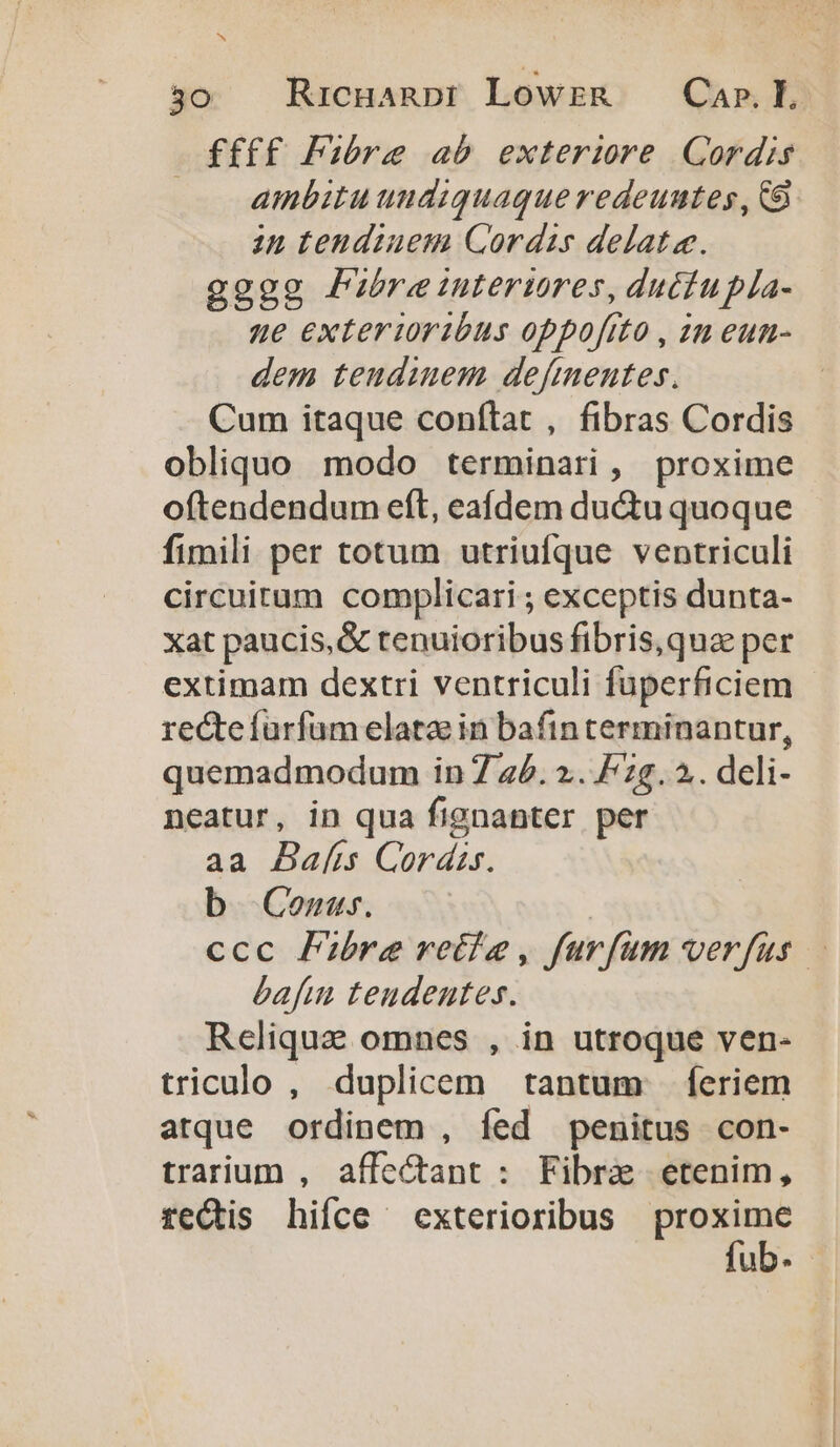 ffff Fibre ab exteriwre Cordis . ambitu undiquague redeuntes, Ca in tendzuem Cordis delatee. gggg Pubreintertres, duciupla- ue exterioribus oppofito , zn eun- dem teudinem defmentes. Cum itaque conftat , fibras Cordis obliquo modo terminari , proxime oftendendum eft, eafdem du&amp;u quoque fimili per totum utriufque ventriculi circuitum complicari ; exceptis dunta- xat paucis, &amp; tenuioribus fibris, qua per extimam dextri ventriculi fuperficiem recte furfum elata in bafin terminantur, quemadmodum in 774. ».. F2g.2.. dcli- neatur, in qua fignanter per aa Bafis Cordis. b Conus. | ccc Pre vetie, farfum verfus. bafi tendentes. Reliquz omnes , in utroque ven- triculo , duplicem tantum — feriem atque ordinem , fed penitus con- trarium , affe&amp;ant : Fibra etenim, rectis hifce exterioribus Rene uDe