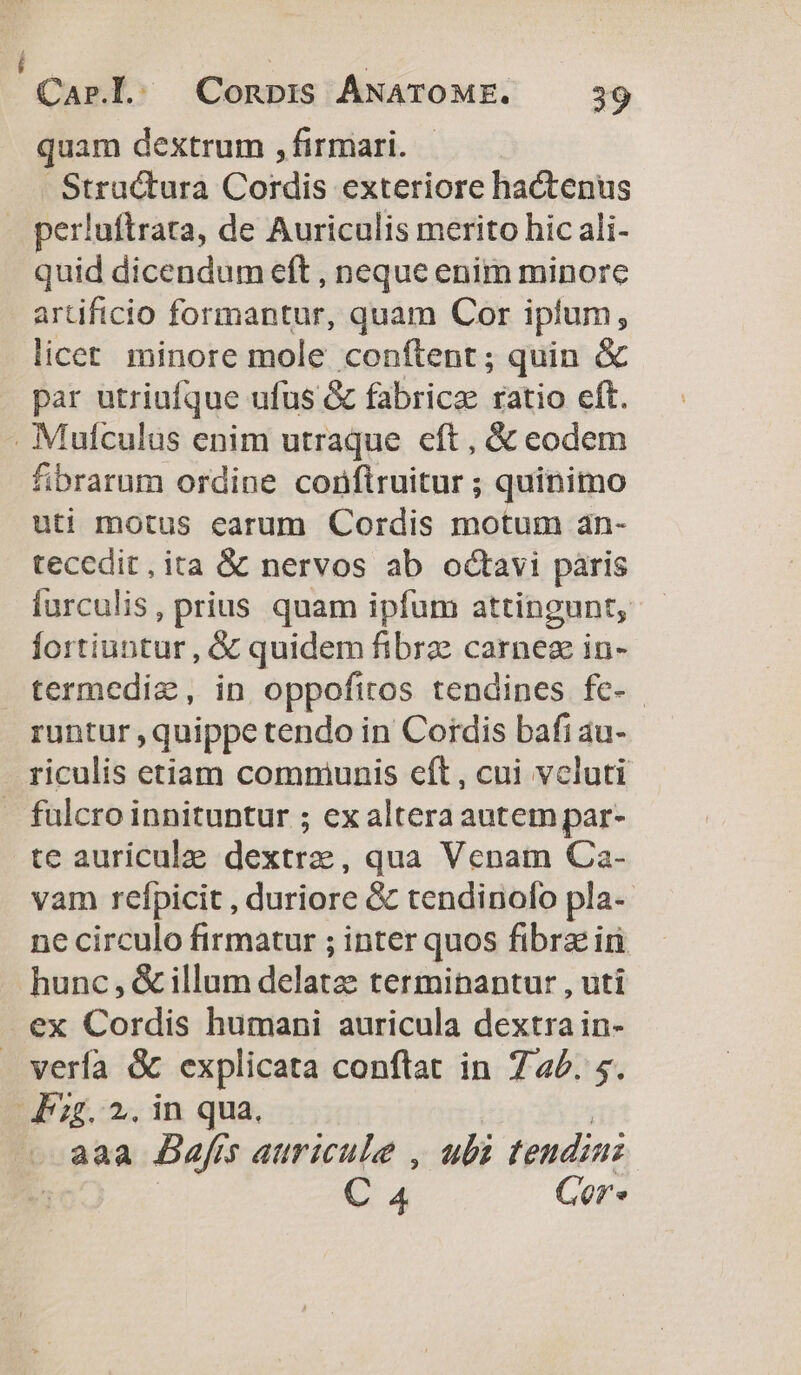 quam dextrum , firmari. — Stractura Cordis exteriore hactenus perluftrata, de Auriculis merito hic ali- quid dicendum eft , neque enim minore artificio formantur, quam Cor iplum, licet. minore mole conftent ; quin &amp; par utriufque ufus &amp; fabrice ratio eft. . Mufculus enim utraque eft , &amp; eodem fibrarum ordine conflruitur ; quinimo uti motus earum Cordis motum an- tecedit,ita &amp; nervos ab octavi pàris furculis, prius quam ipfum attingunt, fortiuntur , € quidem fibrze carnez in- termediz, in oppofitos tendines fe- runtur , quippe tendo in Cordis bafi au- riculis etiam commiunis eft, cui vcluti . fulcro innituntur ; ex altera autem par- te auriculae dextrze, qua Venam Ca- vam refpicit , duriore &amp; tendiriofo pla-- ne circulo firmatur ; inter quos fibrz iri hunc , &amp; illum delatae terminantur , uti ex Cordis humani auricula dextra in- verfa &amp; explicata conflat in 722. 5. Fg. 2. in qua, . aaa Bafis auricule , ubi tendini j C 4 Gor«