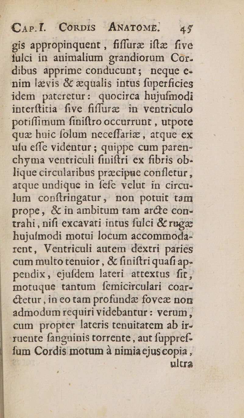 gis appropinquent, fiffurz ifle five lulci in animalium grandiorum Cor. dibus apprime conducunt; neque e- nim lzvis &amp; qualis intus fuperficies idem pateretur: quocirca hujufmodi interftitia five fiffurz in ventriculo potiffimum finiftro occurrunt , utpote quz buic folum neceffariz , atque ex ufu effe videntur ; quippe cum paren- chyma ventriculi finiftri ex fibris ob- lique circularibus praecipue confletur, atque undique in fefe velut in circu- lum conftringatur, non potuit tam prope, &amp; in ambitum tam ardte con- trahi , nifi excavati intus fulci &amp; rugze hujuímodi motui locum accommoda- rent, Ventriculi autem dextri paries cum multo tenuior , &amp; finiftri quafi ap- pendix, ejufdem lateri attextus fit, motuque tantum femicirculari coar- &amp;tetur , in eo tam profundz fovez non admodum requiri videbantur: verum, cum propter lateris tenuitatem ab ir- ruente fanguinis torrente , aut fuppref- fum Cordis motum à nimia ejuscopia , 3 ultra