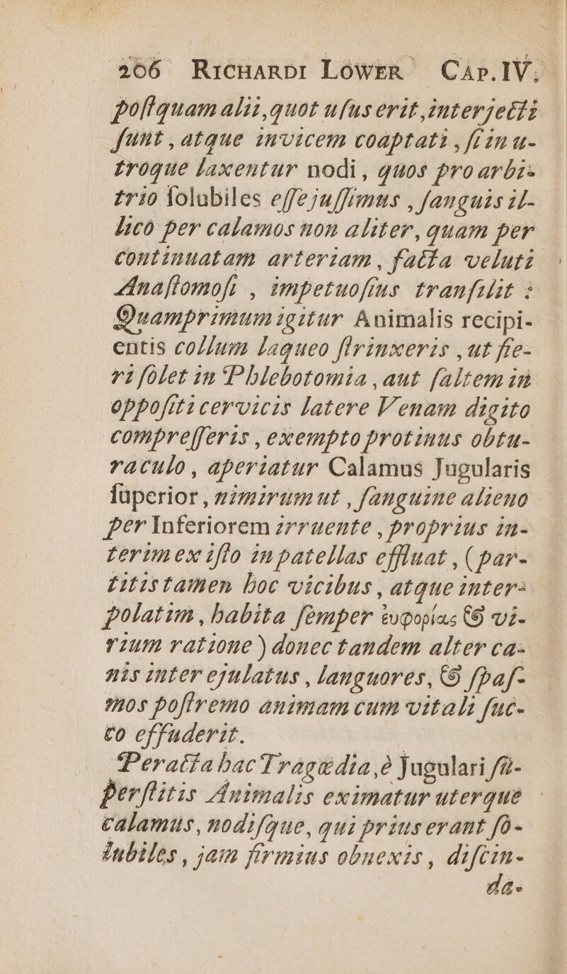 poliquam alii,quot ufus erit interjectis | Junt , atque invicem coaptati ,frzn u- £roque laxentur nodi, quos proarbi- zrio Yolubiles effejuffrmus , fanguis i- Àjc0 per calamos non aliter, quam per coutinuatam arteriam , fatía veluti Inaftomoft , impetuofius tranfulit : Quamprimumigitur Avimalis recipi- entis colum laqueo flrinxeris ,ut ffe- vifolet 1m Pblebotomia ,aut faltem id oppofiti cerviczs latere Venam digito compre[feris , exempto protinus obtu- raculo, aperiatur Calamus Jugularis fuperior , vzmzrumut , fanguine alieno £er Inferiorem zrraente , proprius in- Zerin es flo iupatellas effluat , (par- Etistamen boc vicibus, atque inter- folatim, babita femper &amp;upopias C9 z- rum ratioue)douec tandem alter ca- nis inter ejulatus , languores, (9 fpaf- 9105 pofiremo animam cum vitali fuc- to effuderit. | T'eratfa bac Tragedia? jugulari /2- Berflitis Adnimalis eximatur uterque calamus, nodifque, qui priuserant fo- fubiles , jam firuius obuexis , ides 4