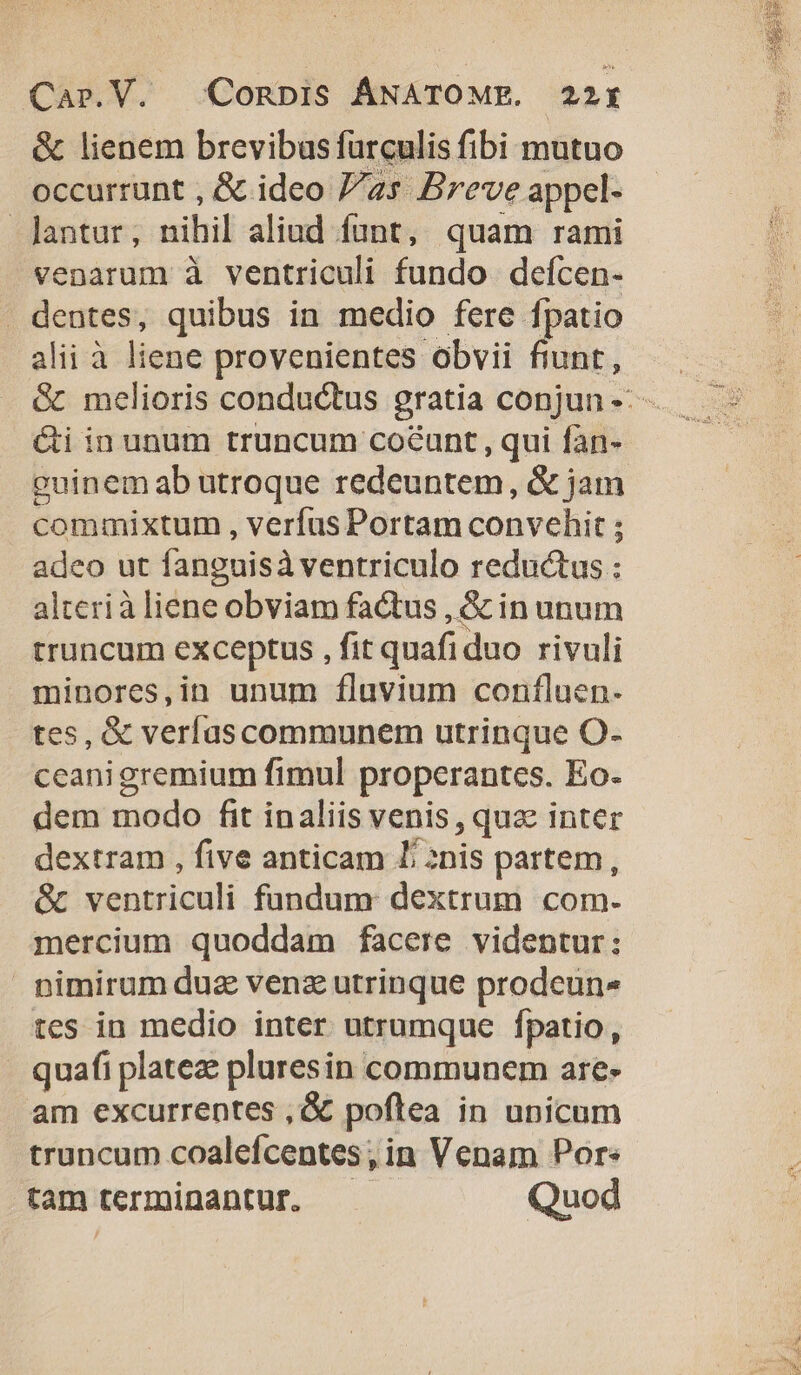 &amp; lienem brevibasfüurculis fibi mutuo occurrunt , &amp; ideo 7/2» Breve appel- . Jantur nihil aliud iunt, quam rami venarum à ventriculi fundo. defcen- dentes, quibus in medio fere fpatio alii à liene provenientes obvii fiunt, &amp;i in unum truncum co&amp;unt , qui fan- guinem ab utroque redeuntem, &amp; jam commixtum , verfus Portam convehit ; adeo ut fanguisà ventriculo reductus : alterià liene obviam fatus , &amp; in unum truncum exceptus , fit quafi duo rivuli minores,in unum fluvium confluen- tes, &amp; verfascommunem utrinque O. ceani gremium fimul properantes. Eo. dem modo fit inaliis venis ,qua inter dextram , five anticam J/2nis partem, &amp; ventriculi fundum dextrum com. mercium quoddam facere videntur: nimirum duz venz utrinque prodeun» tes in medio inter utrumque fpatio, . quafi plateze pluresin communem are- am excurrentes , &amp; poftea in unicum truncum coalefcentes; in Venam Por: tam terminantur, Quod