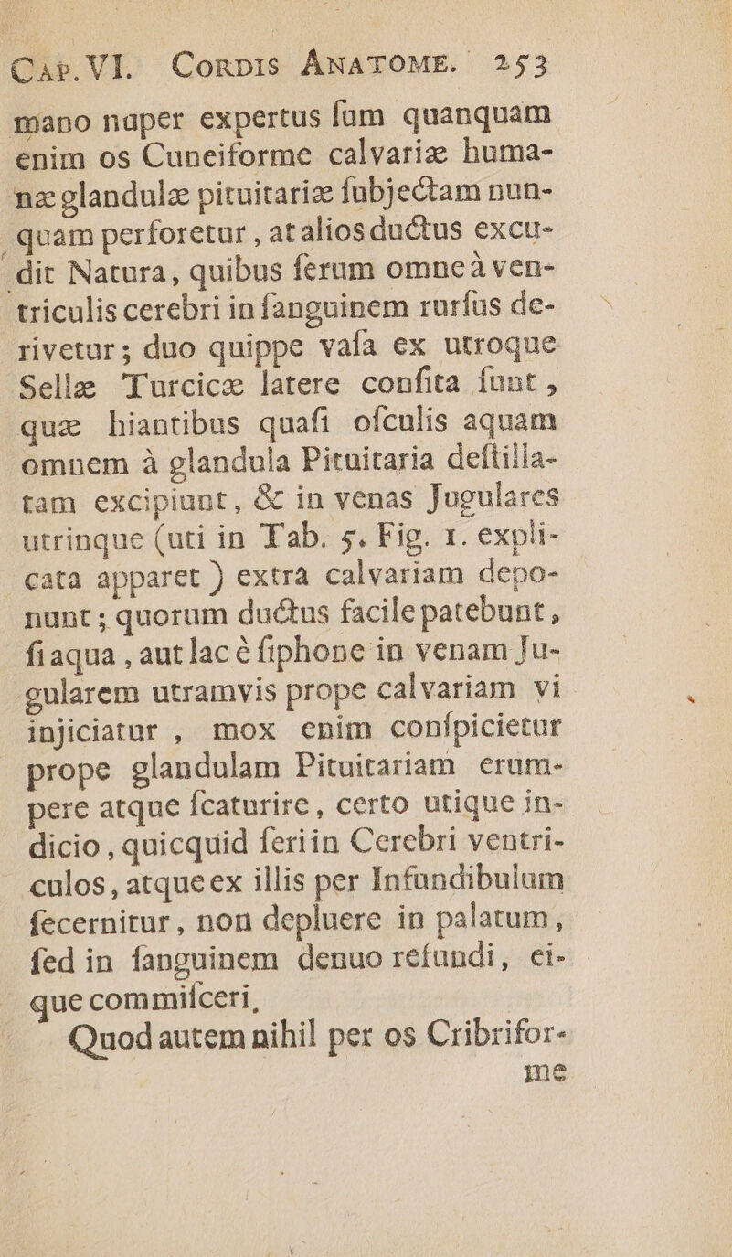 mano naper expertus fum quanquam enim os Cuneiforme calvariz: huma- nz glandulz pituitarize fubje&tam nun- . quam perforetur , at alios ductus excu- dit Natura, quibus ferum omneà ven- triculis cerebri in fanguinem rurfus de- rivetur; duo quippe vaía ex utroque Selle Turcica latere confita funt , qua hiantibus quafi ofculis aquam omnem à glandula Pituitaria deftiila- tam excipiunt, & in venas Jugulares utrinque (uti in Tab. 5. Fig. 1. expli- cata apparet ) extra calvariam depo- nunt ; quorum ductus facile patebunt, fiaqua , autlac é fiphone in venam Ju- gularem utramvis prope calvariam vi injiciatur , mox enim confpicietur prope glandulam Pituitariam erum- pere atque fcaturire, certo utique in- dicio , quicquid feriin Cerebri ventri- culos, atqueex illis per Infündibulum fecernitur , non depluere in palatum, fed in fanguinem denuo refundi, ei- - que com miíceri, Quodautem nihil pet os Cribrifor- ine