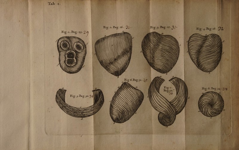 Ü ii Fig: 4.Pag:28. 2L É | | hs í fifi I NN n — LA , ll j (0 Fág:5.Pag:ar. 2] - € Fig :6. Pag: Hh. g Pu [ MN N N N | N NN NS AND NN 2 N A N / NNN |