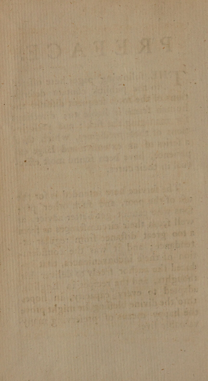 me pili #3 RS ae wae aah urs shea. § +4 4 i a “nas aol +2 eign ee oye Oe an ys ae a ts bang rgd pial sonst: | e pn aed i vr 4 es ? wes