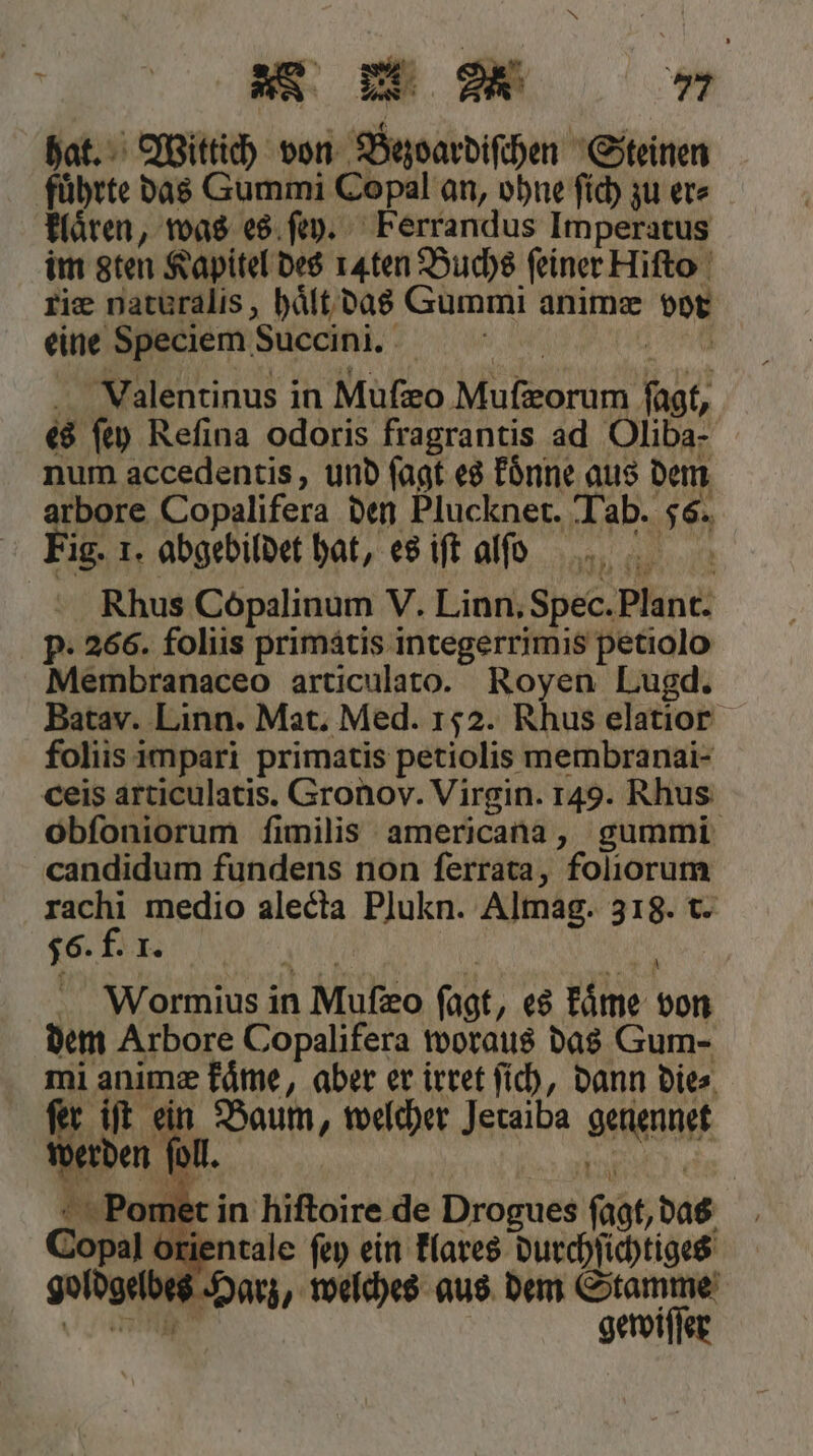 hat. Wittich von Bezoardiſchen Steinen führte das Gummi Copal an, ohne ſich zu ers klaͤren, was es ſey. Ferrandus Imperatus im sten Kapitel des 14ten Buchs feiner Hiſto riæ naturalis, haͤlt das Gummi animæ vor eine Speciem Succini. | . Valentinus in Muſæo Muſæorum fagt, es ſey Reſina odoris fragrantis ad Oliba- num accedentis, und ſagt es koͤnne aus dem arbore Copalifera den Plucknet. Tab. 56. Fig. 1. abgebildet hat, es iſt alſ[ſ . Rhus Copalinum V. Linn, Spec. Plant. p. 266. foliis primatis integerrimis petiolo Membranaceo articulato. Royen Lugd. Batav. Linn. Mat. Med. 152. Rhus elatior foliis impari primatis petiolis membranai- ceis articulatis. Gronov. Virgin. 149. Rhus obfoniorum fimilis americana, gummi candidum fundens non ferrata, folıorum rachi medio alecta Plukn. Almag. 318. t. 56. f. I. Mormius in Muſæo ſagt, es kaͤme von dem Arbore Copalifera woraus das Gum- mi anime kame, aber er irret ſich, dann dies r iſt ein Baum, welcher Jetaiba genennet gewiſſer