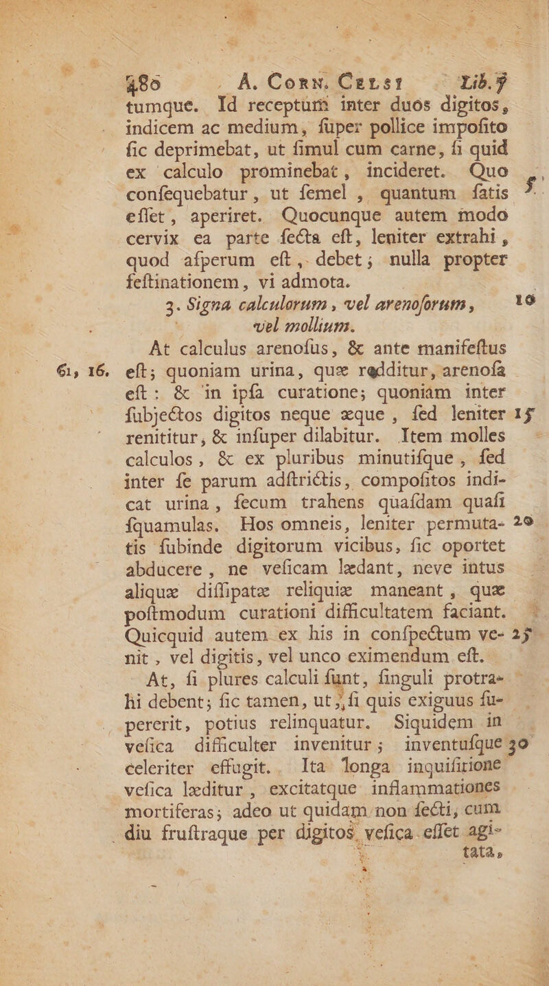 € 9? 16, Ws TOM m tumque. ld receptum inter duos digitos, indicem ac medium, fuper pollice impofito fic deprimebat, ut fimul cum carne, í1 quid ex calculo prominebat, incideret. Quo confequebatur, ut femel , quantum fatis eflet, aperiret. Quocunque autem modo cervix ea parte fecta eft, leniter extrahi, quod afperum eít, debet; nulla propter feftinationem , vi admota. 3. Signa caleularusa , vel arenoforum, — 19 vel smollium. At calculus arenofus, &amp; ante manifeftus eft; quoniam urina, qux redditur, arenofa eft: &amp; in ipfa curatione; quoniam inter fubje&amp;tos digitos neque xque , fed leniter 15 renititur, &amp; infuper dilabitur. Item molles - calculos , &amp; ex pluribus minutifque , fed inter fe parum adítrictis, compofitos indi- cat urina, fecum trahens quaídam quafi Íquamulas. Hos omneis, leniter permuta- 29 tis fubinde digitorum vicibus, fic oportet abducere , ne veficam ledant, neve intus aliqux diffipatz reliqui maneant, que poftmodum curationi difficultatem faciant. 5 nit, vel digitis, vel unco eximendum eft. At, fi plures calculi funt, finguli protra« hi debent; fic tamen, ut jfi quis exiguus fu-— pererit, potius relinquatur. Siquidem in veíica difüculter invenitur; inventufque 30 celeriter effugit. . Ita Tonga inquifirione vefica leditur , excitatque. inflammationes mortiferas; adeo ut quidam non fecti; cum. » tata, M: PEN Lu 2