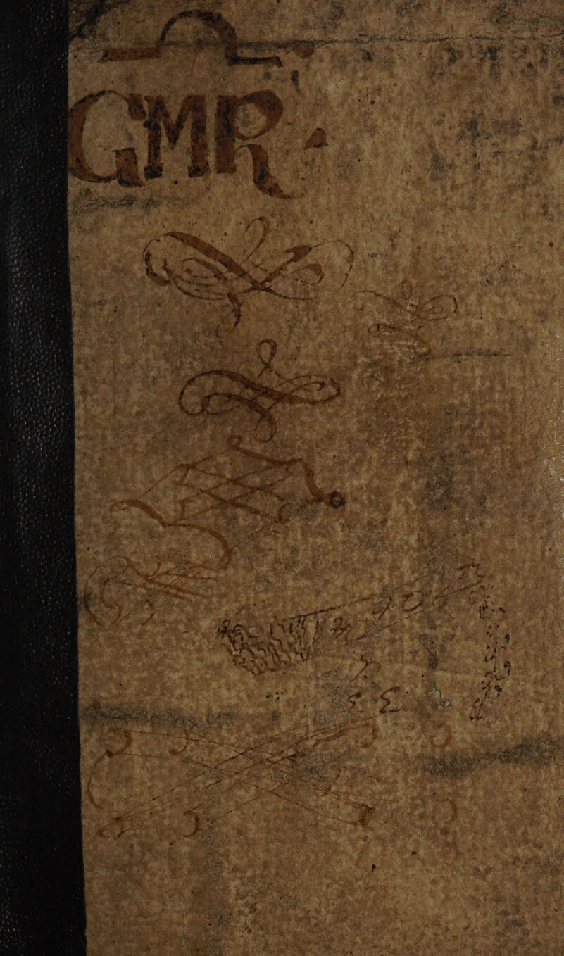 No text description is available for this image