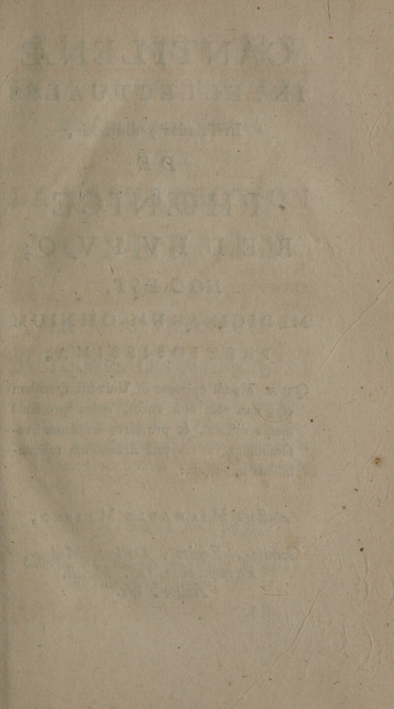 ‘10 1e dre ra à 2 1 9 72 d P Ÿ «ia A Lot | \ FE SANT ce. EN : et “ | &amp; | #/ 4 ds : &lt; 20 HT nt