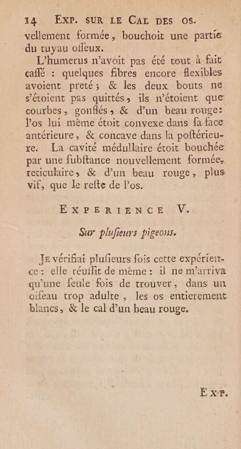 vellement formée, bouchoit une partie du tuyau offeux. L'humerus n’avoit pas été tout à fait caffé : quelques fibres encore flexibles avoient preté; &amp; les deux bouts ne s’'étoient pas quittés» ils mn’étoient que courbes, gonflés, &amp; d’un beau rouge: Pos lui mème étoit convexe dans fa face antérieure, &amp; concave dans la poftérieu- re. La cavité médullaire étoit bouchée par une fubftance nouvellement formée, reticulaires &amp; d’un beau rouge, plus vif, que le refte de l’os. EXPERIENCE V. Sur plufieurs pigeons. je vérifiai plufieurs fois cette expérieit- ce: elle réuilit de mème: il ne m’arriva qu'une feule fois de trouver, dans un oïfeau trop adulte , les os entierement blancs, &amp; le cal d’un beau rouge.