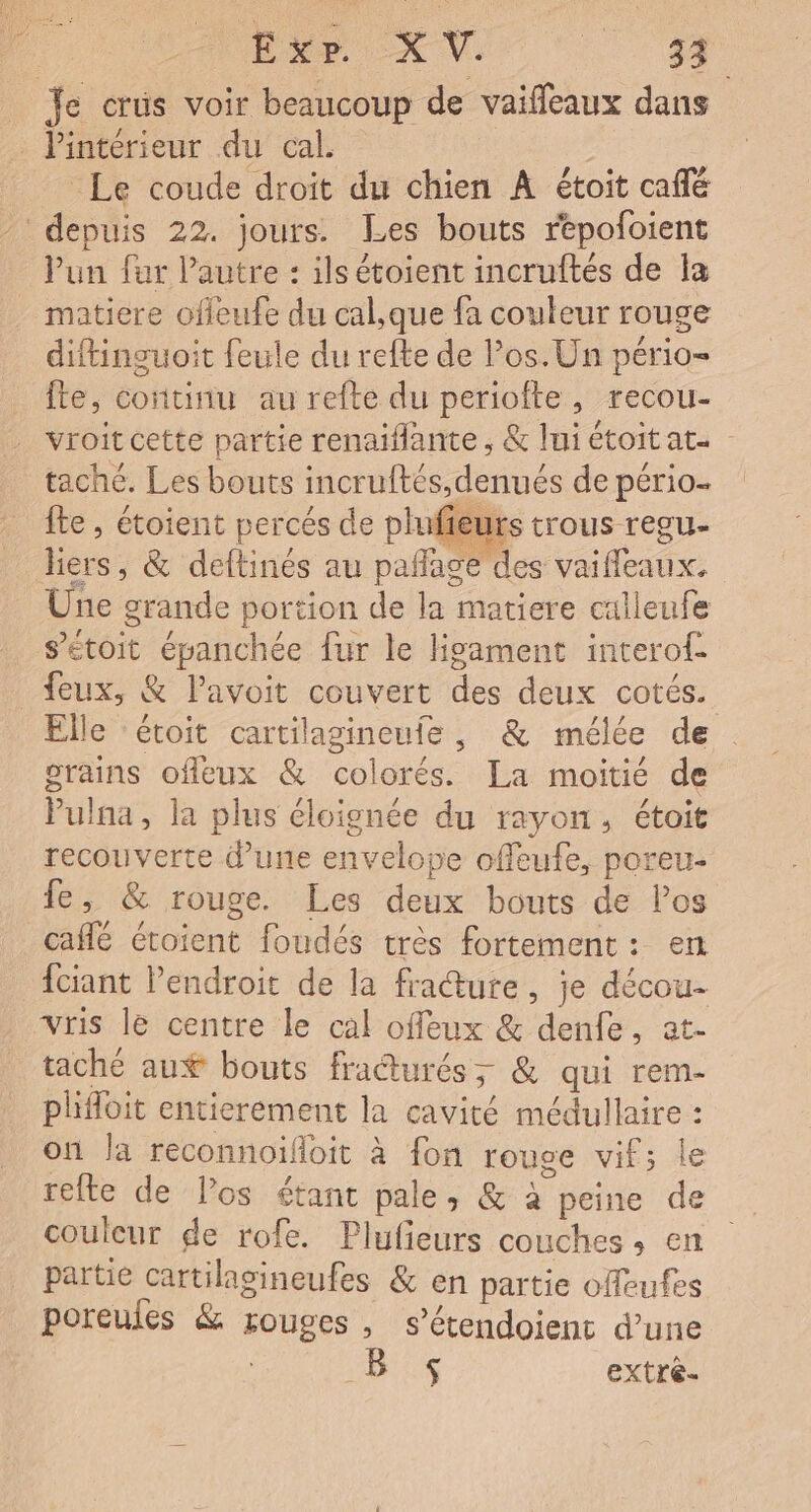 D <V à Le coude droit du chien À étoit café Pun far l’autre : ils étoient incruftés de la matiere offeufe du cal,que fa couleur rouge diftinguoit feule du refte de los. Un pério- fte, continu au refte du periofte, recou- vroit cette partie renaiflante , &amp; Iui étoit at- - taché. Les bouts incruftés,denués de pério- fte , étoient percés de plufieu Elle ‘étoit cartilagineufe , &amp; mélée de grains ofleux &amp; colorés. La moitié de Pulna, la plus éloignée du rayon, étoit recouverte d’une envelope offeufe, poreu- fe, &amp; rouge. Les deux bouts de Pos cafe étoient foudés très fortement: en fciant Pendroit de la fracture, je décou- vris le centre le cal offeux &amp; denfe, at- taché aux bouts fradturés; &amp; qui rem- plifloit entierement la cavité médullaire : on Ja reconnoifoit à fon rouge vif; le refte de los étant pale, &amp; à peine de couleur de rofe. Plufieurs couches, en partie cartilagineufes &amp; en partie offeufes poreules &amp; rouges, s’étendoient d’une US extrè-