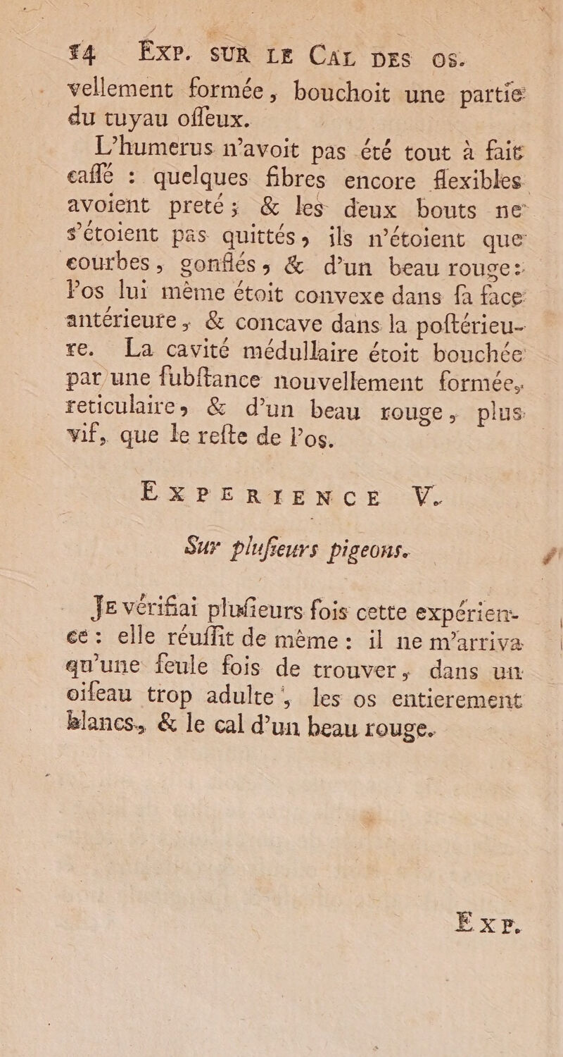 vellement formée, bouchoit une partie du tuyau offeux. L’humerus n’avoit pas été tout à fait café : quelques fibres encore flexibles avoient preté; &amp; les deux bouts ne: s’étoient pas quittés» ils n’étoient que courbes, gonflés; &amp; d’un beau rouge: Pos lui mème étoit convexe dans fa face antérieure, &amp; concave dans la poftérieu- re. La cavité médullaire étoit bouchée par une fubffance nouvellement formée, reticulaire, &amp; d’un beau rouge, plus vif, que le refte de l'os. EXPERIENCE V. SUY plufieurs pigeons. JE vérifiai plufieurs fois cette expérien- ce: elle réuffit de mème: il ne m’arriva qu'une feule fois de trouver, dans uu oifeau trop adulte, les os entierement Blancs, &amp; le cal d’un beau rouge. Exp.