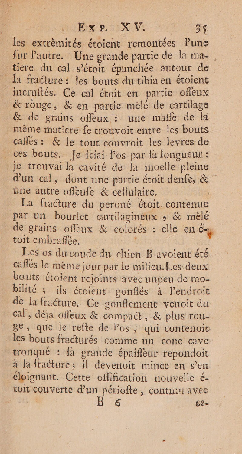 les extrèmités étoient remontées lune fur Pautre. Une grande partie de la ma- | tiere du cal s’étoit épanchée autour de. da fra@ure: les bouts du tibia en étoient incrultés. Ce cal étoit en partie offeux &amp; rouge, &amp; en partie mêlé de cartilage &amp; de grains offeux : une mañle de la mème matiere fe trouvoit entre les bouts cafés : &amp; le tout couvroit les levres de ces bouts. Je fciai Pos par fa longueur : Je trouvai à cavité de la moelle pleine d'un cal, dont une partie étoit denfe, &amp; Une autre offleufe &amp; cellulaire. La fracture du peroné étoit. contenue par un bourlet cartilavineux &gt; &amp; mêlé de grains offeux &amp; colorés : elle en és toit embraflée. + | Les os du coude du chien B avoient été caffés le mème jour par le milieu. Les deux bouts étoient rejoints avec unpeu de mo- bilité ; ils étoient gonflés à l’endroit de la fraéture, Ce gonflement venoit du cal, déja ofleux &amp; compadt, &amp; plus rou- ge, que le refte de l’os , qui contenoit - des bouts fradturés comme un cone cave tronqué : fa grande épaifleur repondoit à la fraure; il devenoit mince en s’en cloignant. Cette offification nouvelle €- toit couverte d’un périofte, contuu avec | | 6 CC-