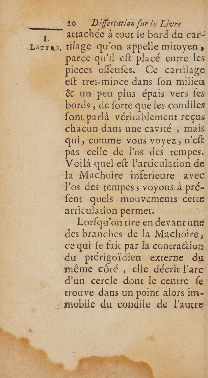 __ atrachée à cout le bord du'car- Lerrar, tilage qu’on appelle micoyen». _ parce qu'il eft placé entre les … pieces offeufes. Ce cartilage ; eft cres-mince dans fon nulieu __&amp; un peu plus épais vers fes bords , de forte que les condiles font parlà véricablement reçus chacun dans une cavité , mais qui, comme vous voyez, n’eft as celle de los des rempes. Voilà quel eft l’arciculation de Ja Machoire inferieure avec l'os des tempes ; voyons à pré- ent quels mouvements cette articulation permet. 8 Lorfqu’on tire en devantune des branches de la Machoire, ce qui fe faic par la contraction du ptérigoïdien externe du même côté , elle décrit l'arc: d’un cercle donc le centre fe trouve dans un point alors im- mobile du condile de l’autre