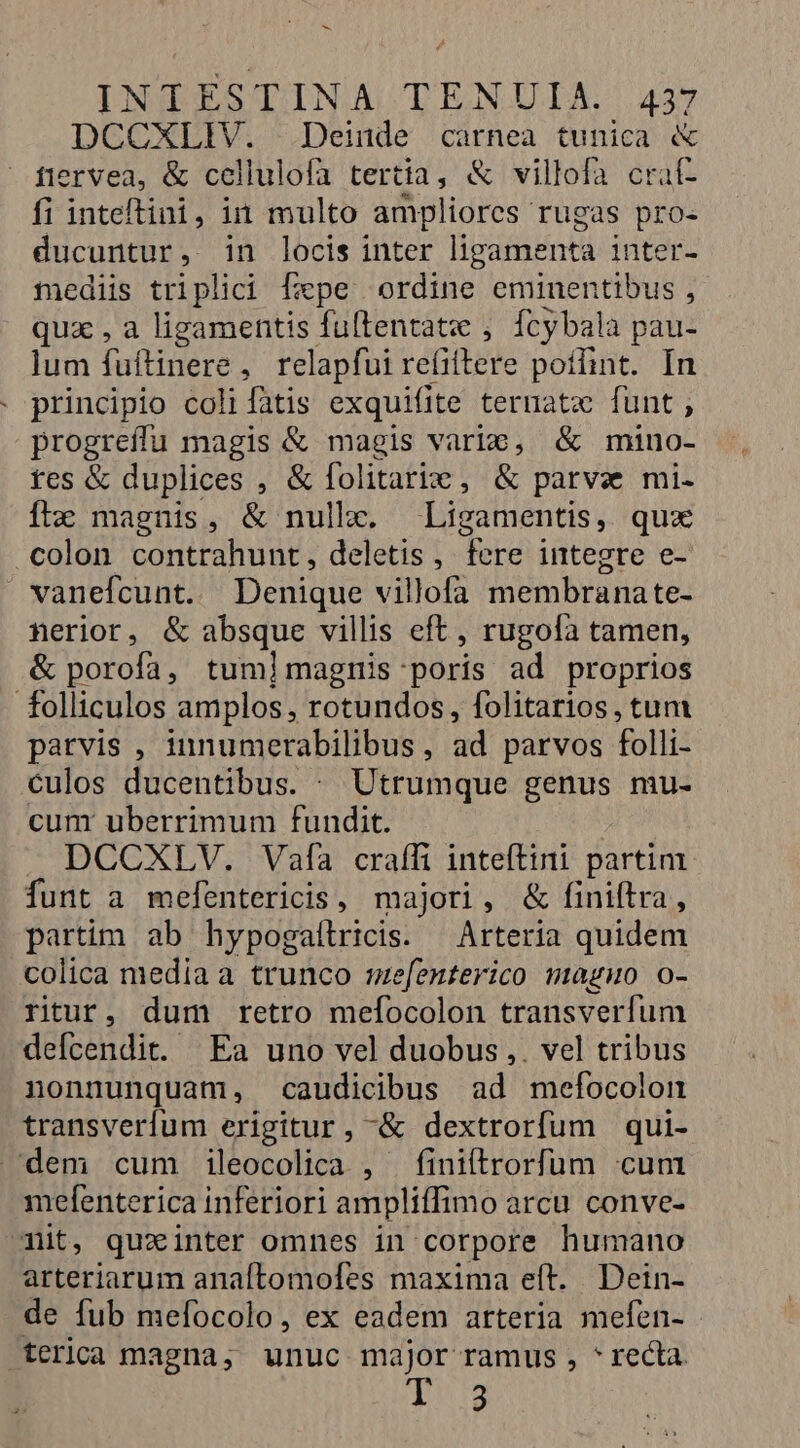 ES INTIESTINA TENUIA. 437 DCCXLIV. .Deinde carnea tunica &amp; fiervea, &amp; cellulofa tertia, &amp; villofa crat- fi inteftini, in multo ampliores rugas pro- ducuntur, in locis inter ligamenta inter- mediis triplici fepe ordine eminentibus , qua , a ligamentis fultentat ,. fcybala pau- lum fuftinere, relapfui refiftere poflint. In principio colifatis exquifite teruatz funt , progreíffu magis &amp; magis vario, &amp; mino- tes &amp; duplices , &amp; folitarie , &amp; parvae mi- ftx magnis, &amp; nulle. Ligamentis, quz colon contrahunt, deletis , fere integre e- vaneícunt. Denique villofa membranate- nerior, &amp; absque villis eft, rugolà tamen, &amp; porofa, tum]lmagnis: poris ad proprios folliculos amplos, rotundos, folitarios, tum parvis , innumerabilibus, ad parvos folli- culos ducentibus. . Utrumque genus mu- cum uberrimum fundit. | . DCCXLV. Vaía craffi inteftini partim funt a mefentericis, majori, &amp; finiftra, partim ab hypogaítricis. — Arteria quidem colica media a trunco szefenterico maguo o- ritur, dum retro mefocolon transverfum defcendit. Ea uno vel duobus ,. vel tribus nonnunquam, caudicibus ad mefocolon transverfum erigitur, &amp; dextrorfum qui- dem cum ileocolica , finifítrorfum cum mefenterica inferiori ampliffimo arcu. conve- Tit, quxinter omnes in corpore humano arteriarum anaftomofes maxima eft. Dein- de fub mefocolo, ex eadem arteria mefen- terloa magna, unuc major ramus , * recta pu