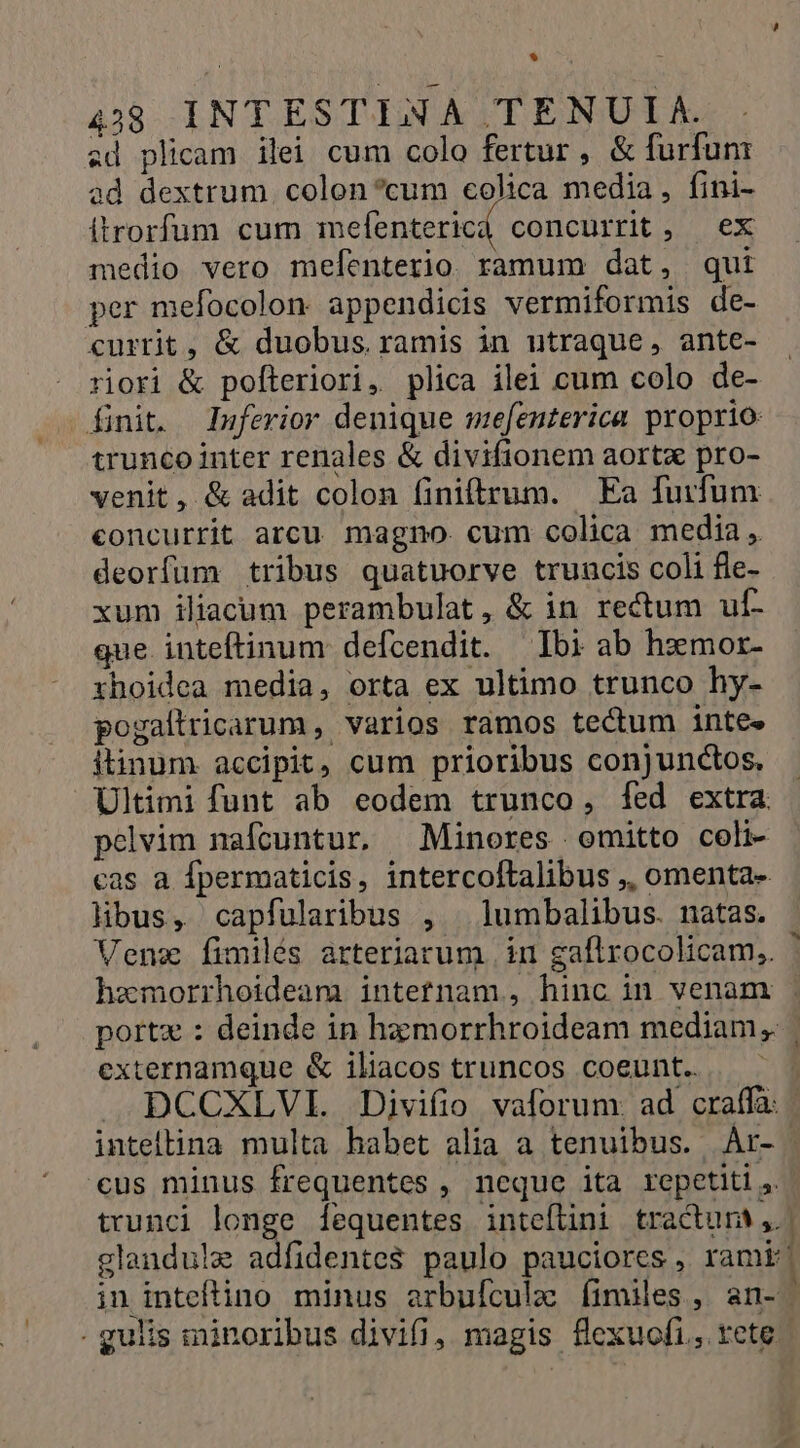 * 453 INTESTILNA TENUIRAR. ad plicam ilei cum colo fertur , &amp; furfum ad dextrum. colon?cum colica media, fini- itrorfum cum seed c concurrit j./ ex medio vero mefenterio ramum dat, qui per mefocolon appendicis vermiformis de- currit, &amp; duobus. ramis in utraque, ante- riori &amp; pofteriori, plica ilei cum colo de- finit. Iuferior denique mefenterica proprio: trunco inter renales &amp; divifionem aorta pro- venit, &amp; adit colon finiftrum. Ea fuifum concurrit arcu. magno. cum colica media , deorfum tribus quatuorve truncis coli fle- xum iliacum perambulat, &amp; in rectum uf- gue inteftinum defcendit. Ibi ab hzmor- rhoidea media, orta ex ultimo trunco hy- pogallricarum , varios ramos tectum intes itinum accipit, cum prioribus conjunctos. Ultimi funt ab eodem trunco, [ed extra. pcelvim nafcuntur, Minores omitto coli- cas a fpermaticis, intercoftalibus ,, omenta- libus, capfularibus , | lumbalibus. natas. Venz fimilés arteriarum | in gaftrocolicam,. hzmorrhoideam intetnam, hinc in venam externamque &amp; iliacos truncos coeunt. 1 intellina multa habet alia a tenuibus. Ar- €us minus frequentes , neque ita repetiti j. trunci longe fequentes intefüni tractum ,. in inteftino minus arbufculz Ííimiles, an- . gulis minoribus divifi, magis flexuofi., tete n ene