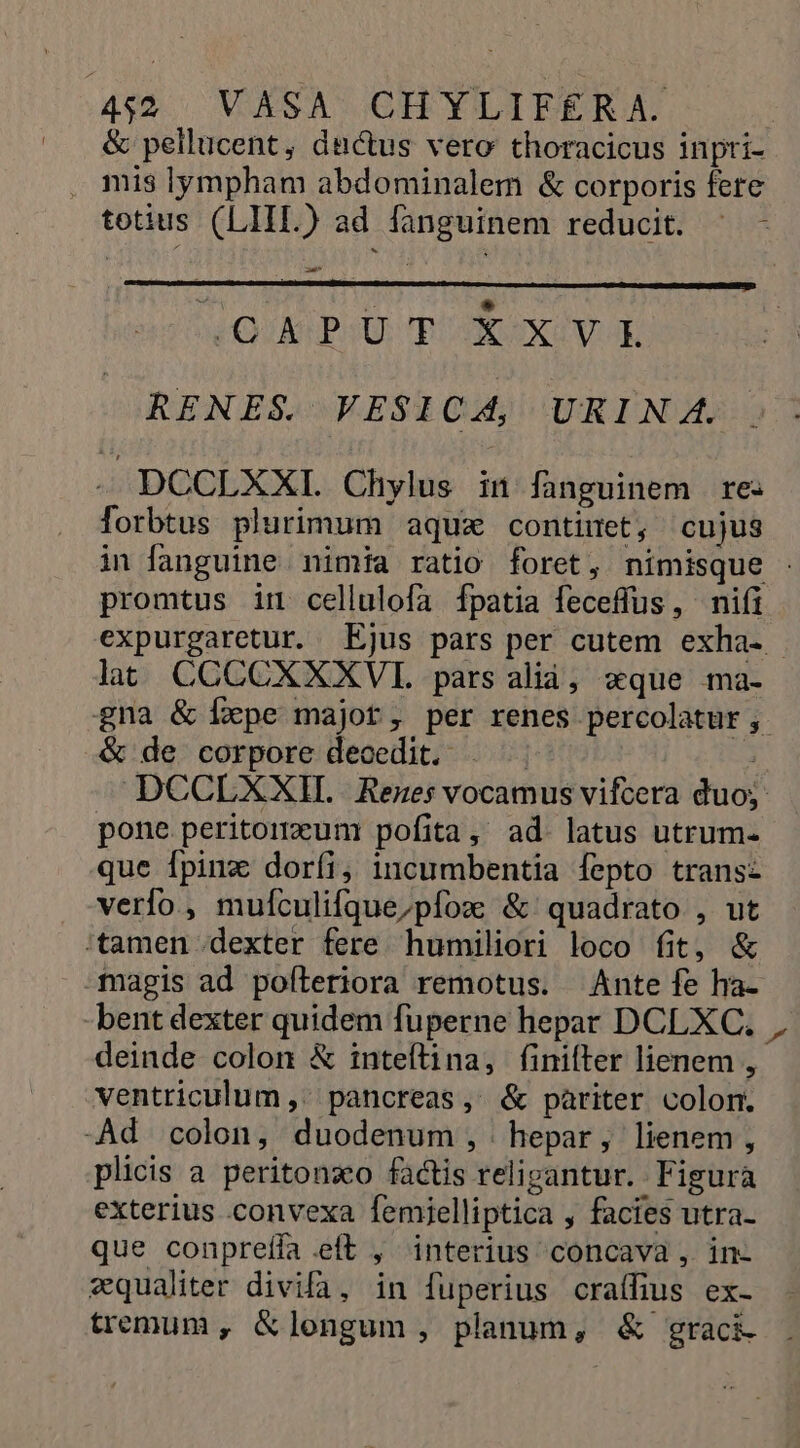 &amp; pellucent, dictus vero thoracicus inpti- mis lympham abdominalem &amp; corporis fere totius (LIIL) ad fanguinem reducit. ^ - A: (OEPUT XXV RENES, VESICA, URIN A. - DCCLXXI. Chylus in fanguinem re: forbtus plurimum aquz continet, cujus in fanguine nimia ratio foret, nimisque . promtus im cellulofa Ífpatia feceffus, nifi expurgaretur. Ejus pars per cutem exha- lat CCCCXXXVIL pars aliá, «que ma- gna &amp; fxpe major, per renes percolatur ,. &amp; de corpore decedit. . ^ DCCLXXH. Renes vocamus vifcera duo; pone peritommun pofita, ad. latus utrum- que Ípinz doríi, incumbentia fepto trans: verfo , mufculifque;pfoz &amp;' quadrato , ut :tamen dexter fere humiliori loco fit, &amp; magis ad pofleriora remotus. Ante fe ha- -bent dexter quidem fuperne hepar DCLXC. deinde colon &amp; inteftina, finifter lienem , ventriculum, pancreas, &amp; pariter colom. -Ad colon, duodenum, hepar, lienem, plicis a. peritonxo factis religantur. Figura exterius convexa femielliptica , facies utra- que conpreífa .eft , interius concava , in- vqualiter divifa, in fuperius craífius ex- tremum , &amp;longum, planum, &amp; graci-