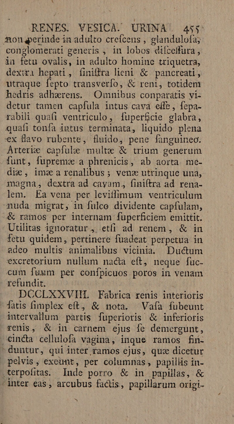 [ RENES. VESICA. URINA . 455: Aongerinde in adulto crefcens , glandulofa; conglomerati generis , in lobos dilceffura, ài fetu ovalis, in adulto homine triquetra, dexiri hepati, (iniffra lieni. &amp; pancreati, utraque fepto transverío, &amp; reni, totidem hedris adhzrens. Omnibus conparatis vi- detur tamen capfula intus cava eífe, fepa- rabili quafi ventriculo, fuperfcie glabra, quaír tonfa intus terminata, liquido plena ex flavo rubente, fluido, pene fanguineo. Arterie capfule multe &amp; trium generum funt, fuprem:z a phrenicis, ab aorta. me- die , ima a renalibus ; venz utrinque una, magna, dextra ad cayam,, fini(tra ad rena- lem. Ea vena per leviffimum ventriculum nuda migrat, in fulco dividente capfulam, &amp; ramos per internam ífuperficiem emittit. Utilitas ignoratur , etfi ad renem, &amp; in fetu quidem, pertinere fuadeat perpetua in adeo multis animalibus vicinia. Ductum excretorium nullum nac&amp;a eft, neque fuc. cum fuum per conípicuos poros in venam refundit. | : DCCLXXVIH. Fabrica renis interioris - fatis fimplex eft, &amp; nota. Vaía fubeunt intervallum partis fuperioris &amp; inferioris renis, &amp; in carnem ejus fe demergunt, cincta cellulofa vagina, inque ramos fi- duntur, qui inter ramos ejus, quz dicetur pelvis; exeunt, per columnas, papillis in- .terpofitas. Inde porro &amp; in papillas, &amp; inter eas, arcubus factis, papillarum origi- b