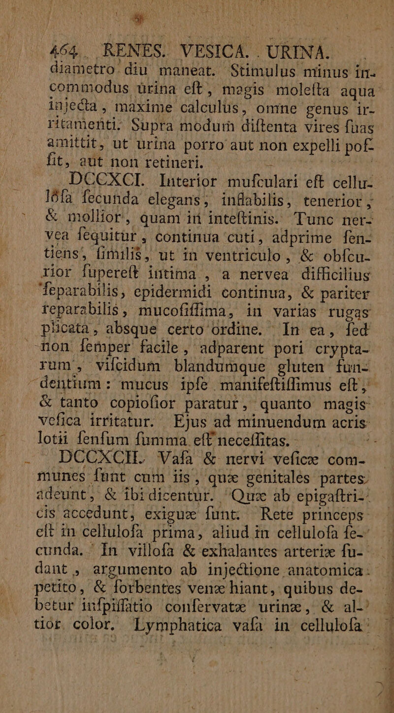 m NT r RAM-LATES R 464. RENES. VESICA. . URINA. diametro:diu maneat. Stimulus münus in. commodus ürina eft, megis molefta aqua: injecta, maxime calculus, omne genus ir- ritamenti- Supra modum diftenta vires fuas amittit, ut urina porro aut non expelli pof- fit, aut non retineri. - iS DCCXCI. Interior mufculari eft. celli- lófa fecunda elegans, inflabilis, tenerior ; &amp; mollior, quam ird inteftinis. Tunc ner- vca fequitür, continua cuti , adprime fen- tens, fimilis, ut in ventriculo , &amp; obfcu- rior fupereft intima , a nervea difficilius Jeparabilis, epidermidi continua, &amp; pariter reparabilis, mucofiffima, in varias rugas plicata, absque certo ordine. In ea, fed mon [femper facile, adparent pori crypta- rum, vifcidum blandumque gluten fun- &amp; tanto copiofior paratur, quanto magis: lotii fenfum fumma efÜneceffitas..— DCCXCH. Vafa &amp; nervi vefice com- munes funt cum iis, qui genitales partes. adeunt, &amp; ibidicentur. Quz ab epigaftriz: cis accedunt, exiguz funt; Rete princeps eft in cellulofa prima, aliud in cellulofa fe-- daut , argumento ab injectione anatomica petito, &amp; forbentes ven hiant, quibus de- betur infpiffatio confervatze urinz, &amp; al A P