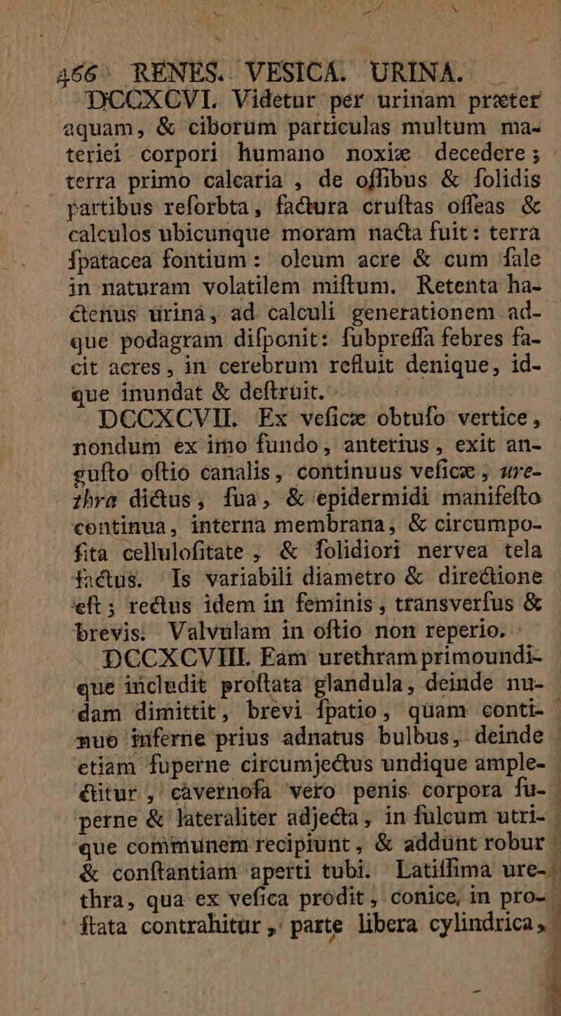 cxt t X TNT 1 -— N  466: RENES. VESICA. URINA. . » DCOXCVI Videtur per urinam prater aquam, &amp; ciborum particulas multum ma- teriei corpori humano noxixc decedere; : terra primo calcaria , de offibus &amp; folidis partibus reforbta, factura cruítas offeas &amp; calculos ubicunque moram nacta fuit: terra Ípatacea fontium : oleum acre &amp; cum [ale in naturam volatilem miftum. Retenta ha- &amp;enus ürinà, ad calculi generationem ad- que podagram difponit: fubpreffa febres fa- cit acres , in cerebrum refluit denique, id- que inundat &amp; deftrüit. 3 DCCXCVH. Ex vefice obtufo vertice , nondum ex imo fundo, anterius , exit an- gufto oftio canalis, continuus veficz , sure- ihra didus, fua, &amp; epidermidi manifefto continua, interna membrana, &amp; circumpo- fita cellulofitate ; &amp; folidiori nervea tela factus. Is variabili diametro &amp; directione elt; redus idem in feminis , transverfus &amp; brevis; Valvulam in oftio non reperio. : DCCXCVIIL Fàm urethram primoundi- | que iücledit proftata glandula, deinde nu- dam dimittit, brevi fpatio, quam «conti- | nuo iuferne prius adnatus bulbus, deinde | etiam füperne circumjectus undique ample- | &amp;ütur , cavernofa vero penis corpora fu- | perne &amp; lateraliter adjecta, in fulcum utri- | que communem reciprunt , &amp; addunt robur | &amp; conítantiam aperti tubi. Latiffima ure- | thra, qua ex vefica prodit, conice, in pro ftata contrahitur ,'parte libera cylindrica, i m E