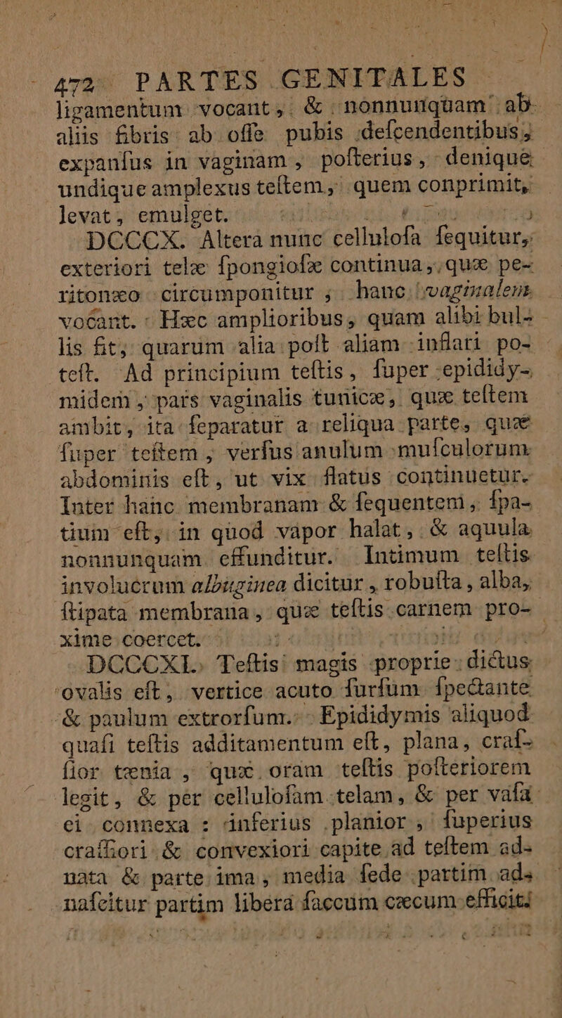 aliis &amp;bris. ab offe pubis ;:defcendentibus j expanfus in vaginam , pofterius, denique undique amplexus teítem ,' quem conprimit, levat, emulget. «11! Gio tipo nr DCCCX. Altera nunc cellulofa fequitur, exteriori telae fpongiofz continua ,,quzx pe- ritonxo circuümponitur ; . hanc tvvaginaleus TE À lis fit; quarum alia. poll aliam -inflari po- teft. Ad principium teftis, fuper :epididy-. midem , pars vaginalis tunicz, qux teítem ambit, ita feparatur a reliqua parte, quz fuper teftem ; verfus anulum mufculorum. abdominis eft, ut vix flatus continuetur. Inter hanc membranam &amp; fequenteni , Ípa- tum eft, in quod vapor halat,.&amp; aquula nonnunquam. effunditur. lntimum teltis involucrum alDiginea dicitur , robufta , alba, xime coercet. Lug yu duigá DCCCXL. Teftis: magis proprie; di&amp;us ovalis eft, vertice acuto furfum. fpectante '&amp; paulum extrorfum.:- Epididymis aliquod. quafi teftis additamentum eft, plana, craf- fior tenia , qux oram teltis poíteriorem ei connexa : inferius .planior , fuperius craffiori.&amp; convexiori capite ad teftem ad- nàta &amp; parte ima , media fede partim ads nafcitur partim liberá faccum czecum. efficit - ERE 74 . € 4 (6&amp;4
