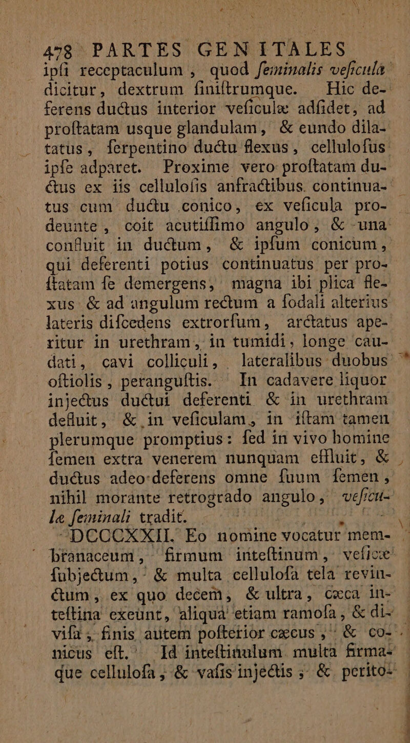 QXACET MLROR t 478 PARTES GEN I TALES ferens ductus interior veficule adfidet, ad proftatam usque glandulam, &amp; eundo dila- ipfe adparet. Proxime vero proftatam du- &amp;us ex iis cellulofis anfractibus. continua- tus cum dudu conico, ex veficula pro- confluit in ductum, &amp; ipfum conicum, qui deferenti potius continuatus per pro- [tatam fe demergens, magna ibi plica fle- lateris difcedens extrorfum, arctatus ape- ritur in urethram , in tumidi. longe cau- dati, cavi colliculi, . lateralibus duobus oftiolis , peranguítis. — In cadavere liquor injectus ductui deferenti &amp; in urethram deüuit, &amp;.in veficulam, in iftam tamen plerumque promptius: fed in vivo bomine femen extra venerem nunquam effluit, &amp; ductus adeo:deferens omne fuum 1[emen, la. feininali tradit. fübjecum, &amp; multa cellulofa tela revin- &amp;um, ex quo decem, &amp; ultra, cxca 1n- teftina exeünt, aliquà' etiam ramofa , &amp; di-