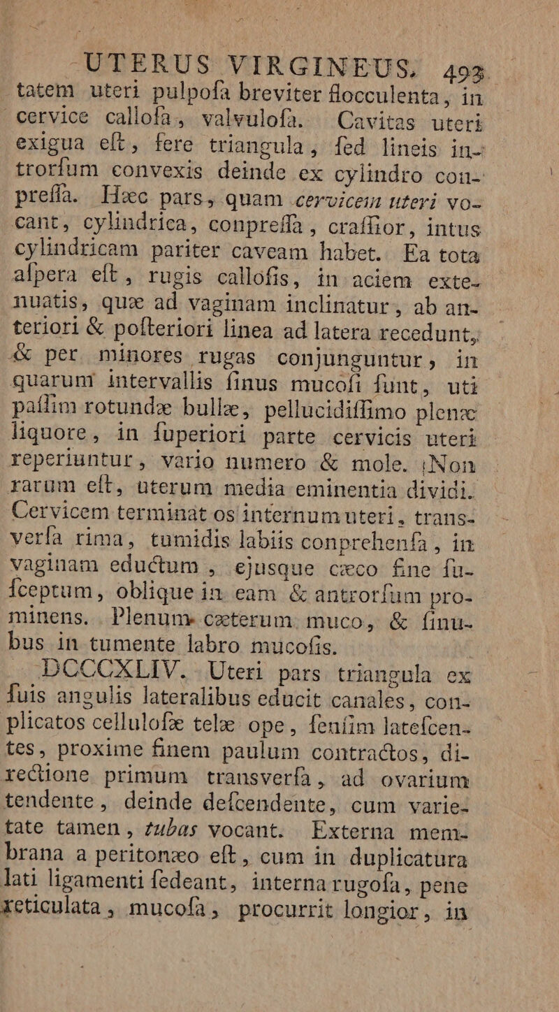 tatem uteri pulpofa breviter flocculenta, in cervice callofa, valvulofa. ^ Cavitas uteri exigua eft, fere triangula, Íed lineis in. trorfum convexis deinde ex cylindro cou prefla. Iizc pars, quam cervices teri vo- cant, cylindrica, conpreffa , craffior, intus cylindricam pariter caveam habet. Ea tota alpera eft, rugis callofis, in aciem exte. nuatis, qux ad vaginam inclinatur, ab an- teriori &amp; pofteriori linea ad latera recedunt, 4 per minores rugas conjunguntur, in quaruni intervallis finus mucofi funt, uti paífim rotundzx bulle, pellucidiffimo plenz liquore, in fuperiori parte cervicis uteri reperiuntur, vario numero &amp; mole. iNon rarum eít, uterum media eminentia dividi. Cervicem terminat os internum nteti, trans- verfa rima, tumidis labiis conprehenfa , in vaginam eductum , ejusque cxco £ne fu. Íceptum, oblique in. eam. &amp; antrorfum pro- minens. Plenunx ceterum. muco, &amp; finu- bus in tumente labro mucofis. . DCCCXLIV. .Uteri pars triangula ex fuis angulis lateralibus educit canales, con- plicatos cellulofe tela: ope, feníim latefcen- tes, proxime finem paulum contractos, di- recione primum transverfa, ad ovarium tendente, deinde defcendente, cum varie- tate tamen, Zubas vocant. Externa mem- brana a peritonzo eft, cum in duplicatura lati ligamenti fedeant, interna rugofa, pene xeticulata, mucofía, procurrit longior, in