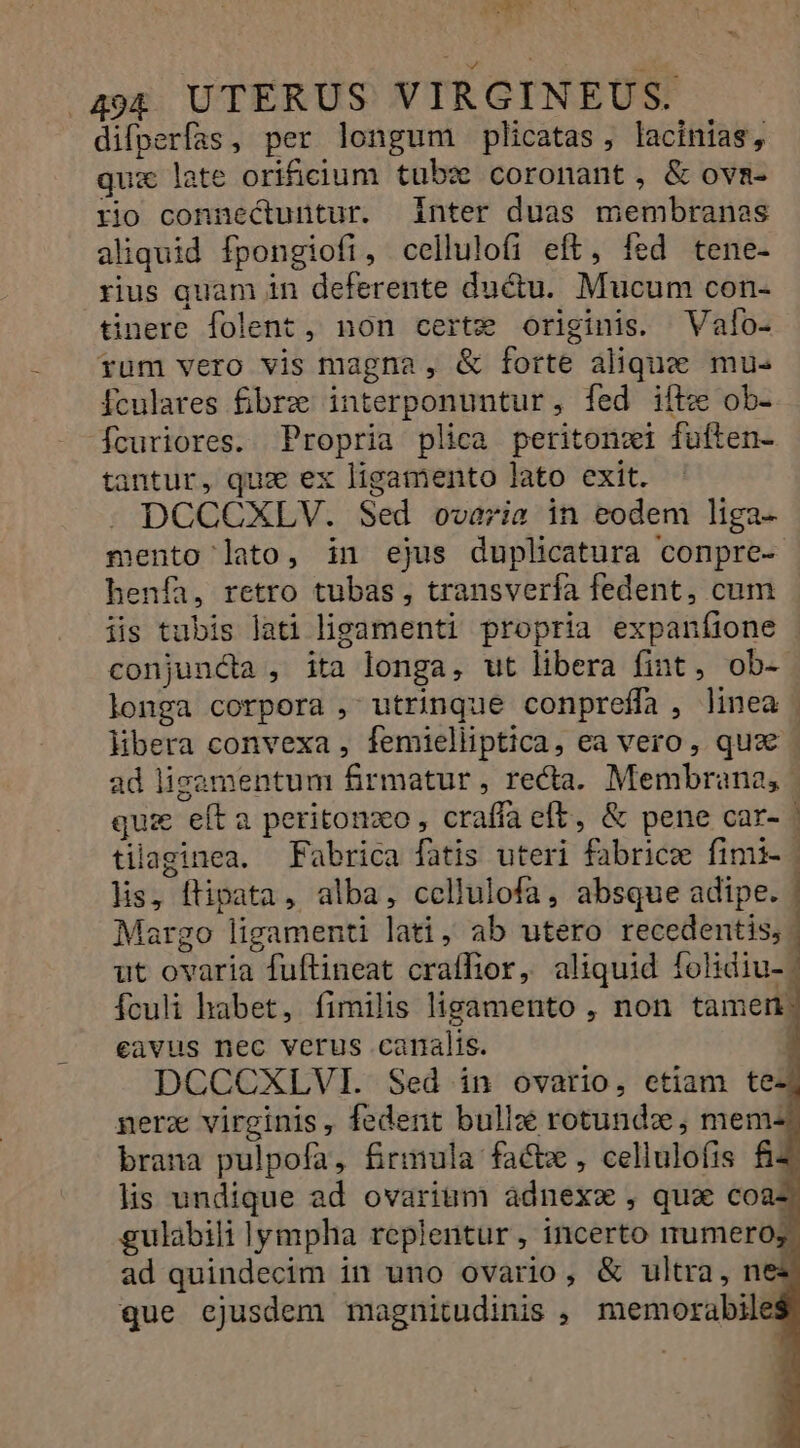 Ev due S 494 UTERUS VIRGINEUS. difperfas, per longum plicatas, lacinias, qux late orificium tubz coronant, &amp; ova- rio connectuntur. inter duas membranas aliquid fpongiofi, cellulofi eft, fed tene- rius quam in deferente ductu. Mucum con- tünere folent, non certzw originis. Valo- rum vero vis magna , &amp; forte aliquze mu. Ículares fibre interponuntur, fed ifte ob- fcuriores. Propria plica peritonxi fuften- tantur, quz ex ligamento lato exit. DCCCXLV. Sed ovaria in eodem liga- mento lato, in ejus duplicatura conpre- henía, retro tubas , transverfa fedent, cum iis tubis lati ligamenti propria expaníione conjuncta, ita longa, ut libera fint, ob- longa corpora , utrinque conpreffa, linea | libera convexa , femielliptica, ea vero, qua ad lisamentum firmatur, recta. Membrana, | quz eft a peritonzo , craffa eft, &amp; pene car- | tilaginea. Fabrica fatis uteri fabrice fimi- | lis, flipata, alba, cellulofa, absque adipe. | Margo ligamenti lati, ab utero recedentis, ut ovaria fuftineat craflior, aliquid folidiu- | fculi habet, fimilis ligamento , non tamen eavus nec verus carnalis. 1 DCCCXLVI. Sed in ovario, etiam te- nerz virginis, fedent bulle rotundo; mem-: brana pulpofa, firnnula fac , cellulofis fi lis undique ad ovarium adnexw , qua coa-. gulabili lympha replentur, incerto umero; ad quindecim in uno ovario, &amp; ultra, nes que ejusdem magnitudinis , memorabiles