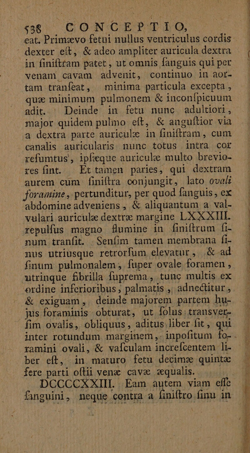 -— 5$ CONCEPTIO : dexter eít, &amp; adeo ampliter auricula dextra in finifttam patet, ut omnis fanguis qui per tam tranfeat, | minima particula excepta , qua minimum pulmonem &amp; inconípicuum adit. ^ Deinde in fetu nunc adultiori, major quidem pulmo eft, &amp; anguflior via a dextra parte auricule in finiltram , cum canalis auricularis. nunc totus intra cor refumtus , ipfeque auricule multo brevio- res fint . Et tamen paries, qui dextram aurem cum finiftra conjungit, lato oval foramine , pertunditur, per quod fanguis , ex abdomine adveniens, &amp; aliquantum a val- vulari auriculze dextre margine LXXXIII. repulfus magno flumine in finiftrum fi- num tranfit. .Senfim tamen membrana fi- finum pulmonalem , fuper ovale foramen , xtrinque fibrilla fuprema , tunc multis ex erdine inferioribus; palmatis ,; adnectitur , &amp; exiguam ,. deinde majorem partem hu- jus foraminis obturat, ut folus: transver- fim ovalis, obliquus, aditus liber fit, qui ramini ovali, &amp; vafculam increfcentem li- ber eft, in maturo fetu decimae quinta fere parti oílii venz cave qualis. | DCCCCXXIII. Eam autem viam effe finguini, neque contra a finiftro finu in A rel Vei;